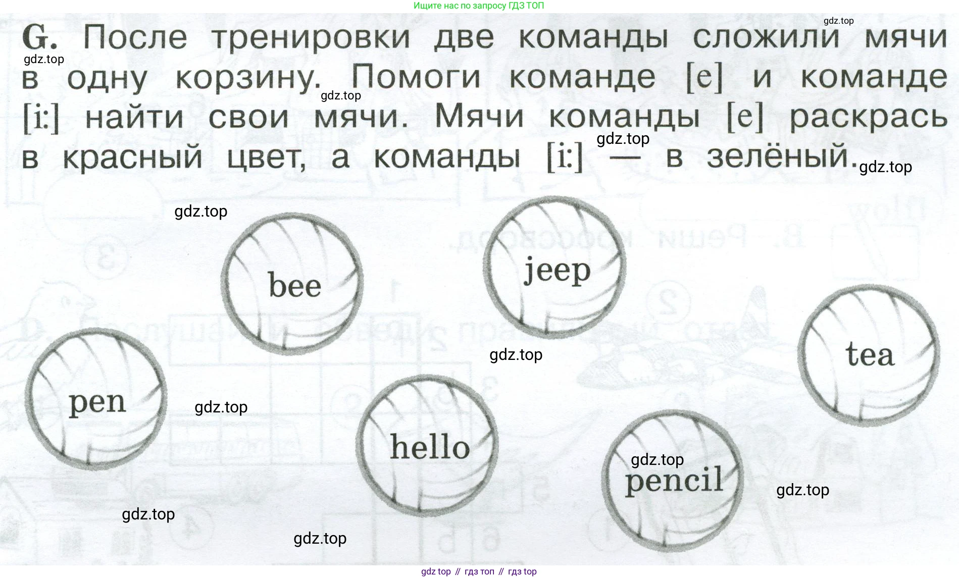 Английский язык (english), 2 класс рабочая тетрадь (activity book), авторы: Вербицкая Мария Валерьевна (Verbitskaya Maria), Оралова Ольга Викторовна (Oralova Olga), Эббс Брайен (Abbs Brian), Уорелл Энн (Worrall Anne), Уорд Энн (Ward Ann), издательство Просвещение, Москва, 2023, зелёного цвета, страница 33, номер G, Условие