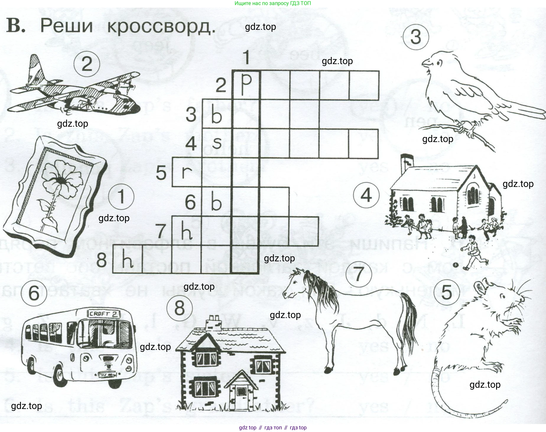 Английский язык (english), 2 класс рабочая тетрадь (activity book), авторы: Вербицкая Мария Валерьевна (Verbitskaya Maria), Оралова Ольга Викторовна (Oralova Olga), Эббс Брайен (Abbs Brian), Уорелл Энн (Worrall Anne), Уорд Энн (Ward Ann), издательство Просвещение, Москва, 2023, зелёного цвета, страница 34, номер B, Условие