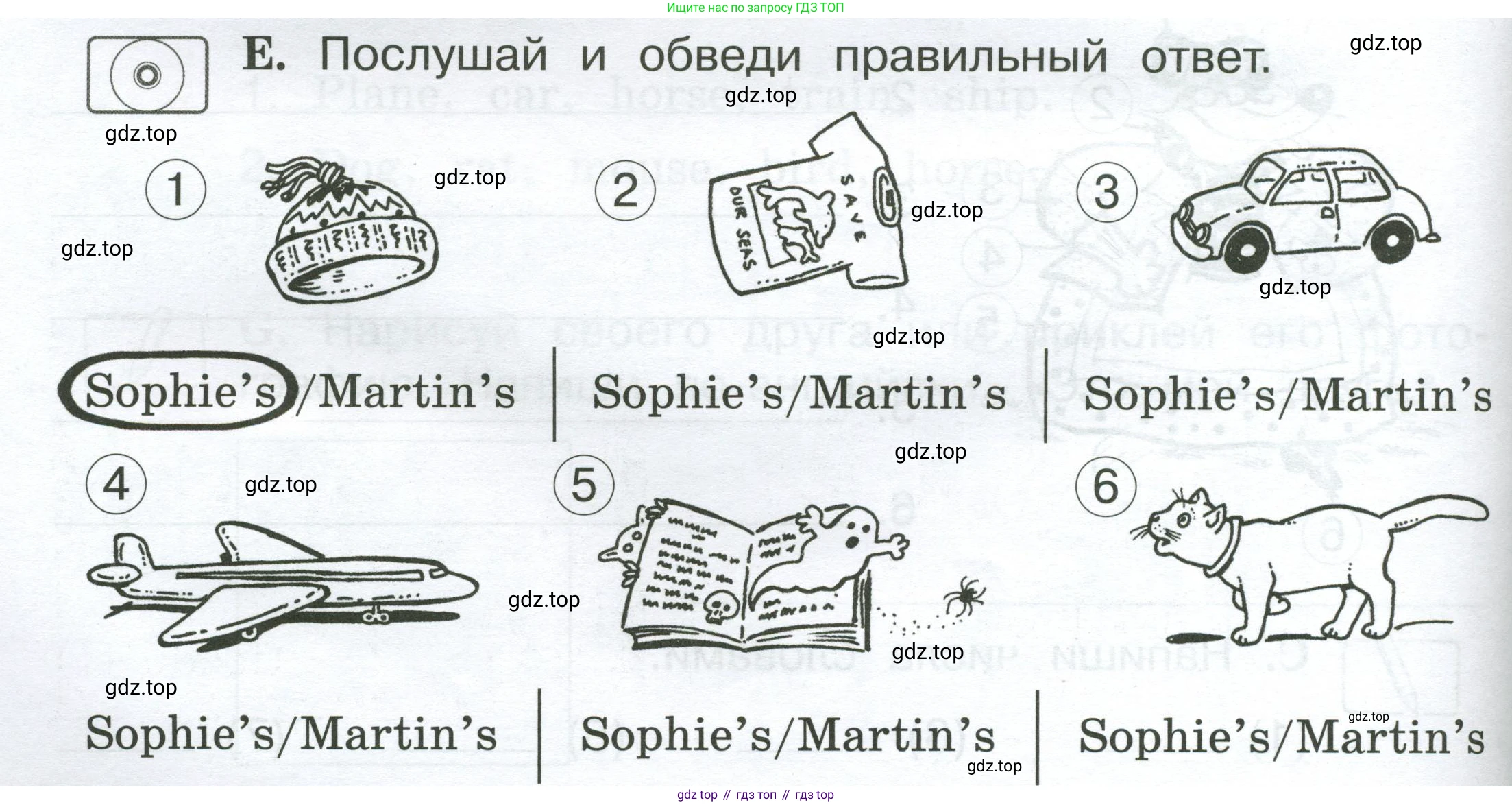 Английский язык (english), 2 класс рабочая тетрадь (activity book), авторы: Вербицкая Мария Валерьевна (Verbitskaya Maria), Оралова Ольга Викторовна (Oralova Olga), Эббс Брайен (Abbs Brian), Уорелл Энн (Worrall Anne), Уорд Энн (Ward Ann), издательство Просвещение, Москва, 2023, зелёного цвета, страница 38, номер E, Условие