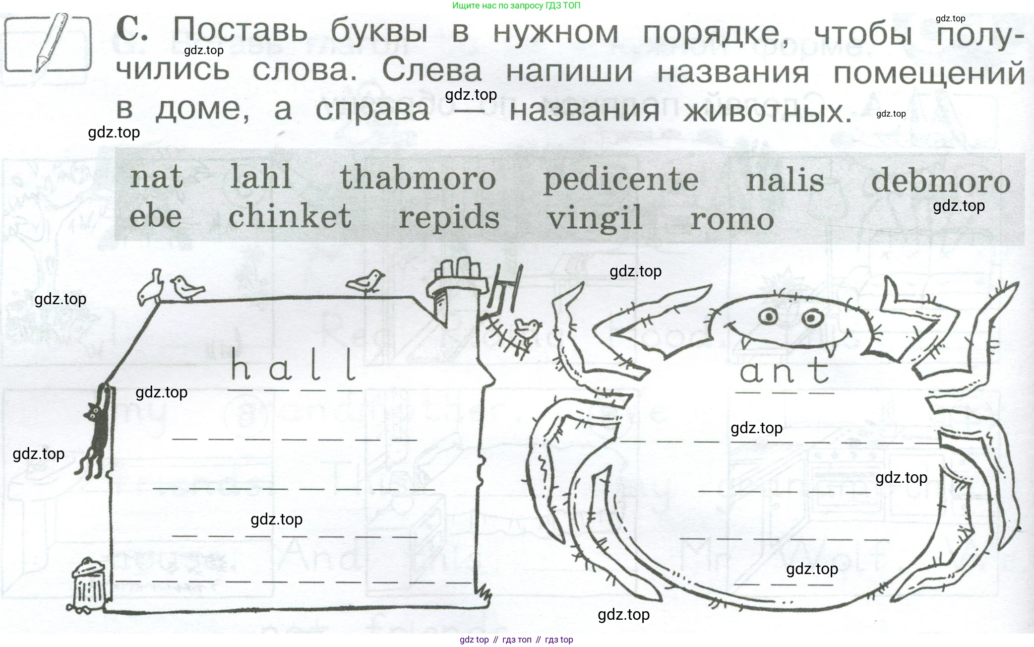 Английский язык (english), 2 класс рабочая тетрадь (activity book), авторы: Вербицкая Мария Валерьевна (Verbitskaya Maria), Оралова Ольга Викторовна (Oralova Olga), Эббс Брайен (Abbs Brian), Уорелл Энн (Worrall Anne), Уорд Энн (Ward Ann), издательство Просвещение, Москва, 2023, зелёного цвета, страница 52, номер C, Условие