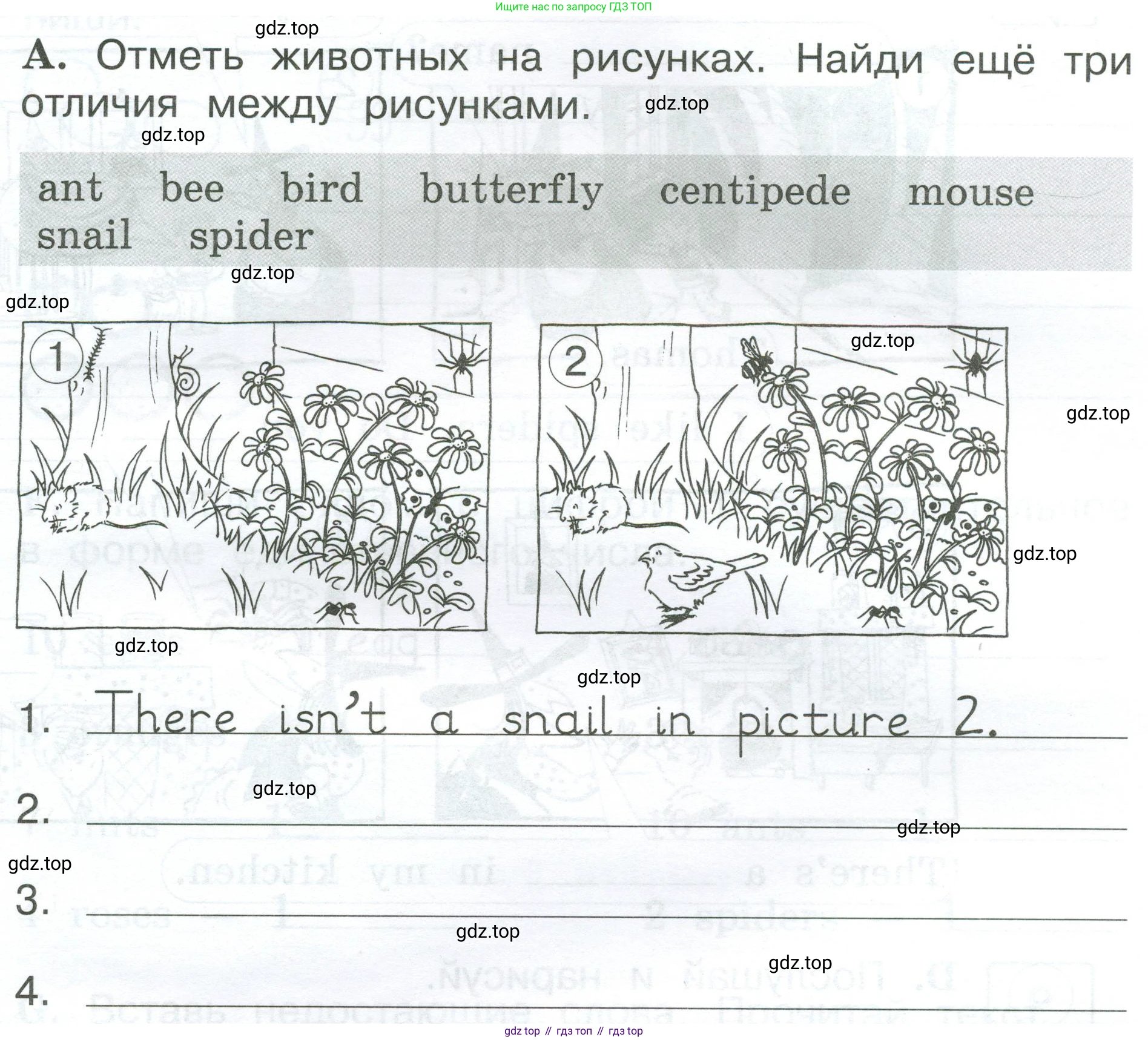 Английский язык (english), 2 класс рабочая тетрадь (activity book), авторы: Вербицкая Мария Валерьевна (Verbitskaya Maria), Оралова Ольга Викторовна (Oralova Olga), Эббс Брайен (Abbs Brian), Уорелл Энн (Worrall Anne), Уорд Энн (Ward Ann), издательство Просвещение, Москва, 2023, зелёного цвета, страница 55, номер A, Условие