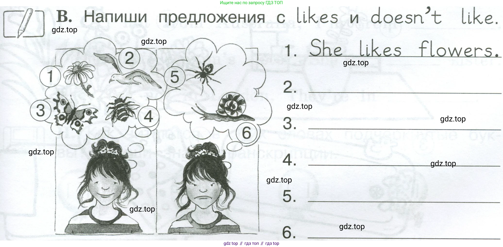 Английский язык (english), 2 класс рабочая тетрадь (activity book), авторы: Вербицкая Мария Валерьевна (Verbitskaya Maria), Оралова Ольга Викторовна (Oralova Olga), Эббс Брайен (Abbs Brian), Уорелл Энн (Worrall Anne), Уорд Энн (Ward Ann), издательство Просвещение, Москва, 2023, зелёного цвета, страница 55, номер B, Условие