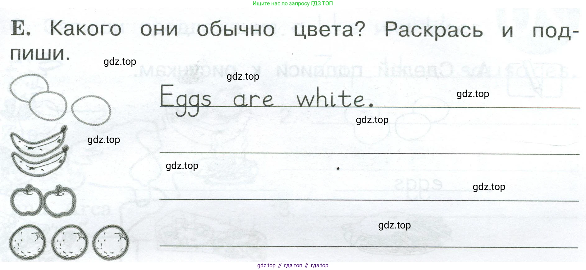Английский язык (english), 2 класс рабочая тетрадь (activity book), авторы: Вербицкая Мария Валерьевна (Verbitskaya Maria), Оралова Ольга Викторовна (Oralova Olga), Эббс Брайен (Abbs Brian), Уорелл Энн (Worrall Anne), Уорд Энн (Ward Ann), издательство Просвещение, Москва, 2023, зелёного цвета, страница 57, номер E, Условие