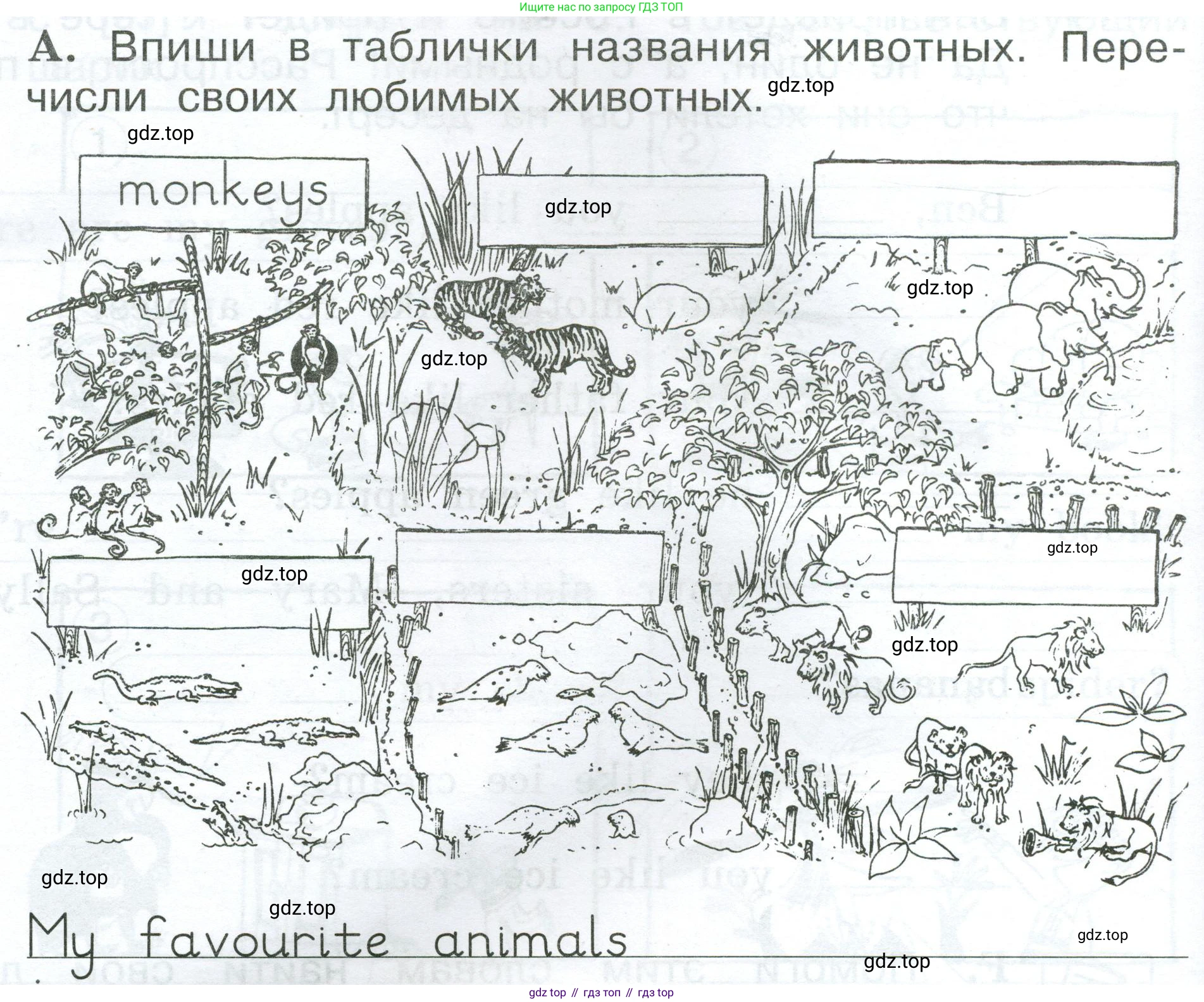Английский язык (english), 2 класс рабочая тетрадь (activity book), авторы: Вербицкая Мария Валерьевна (Verbitskaya Maria), Оралова Ольга Викторовна (Oralova Olga), Эббс Брайен (Abbs Brian), Уорелл Энн (Worrall Anne), Уорд Энн (Ward Ann), издательство Просвещение, Москва, 2023, зелёного цвета, страница 64, номер A, Условие