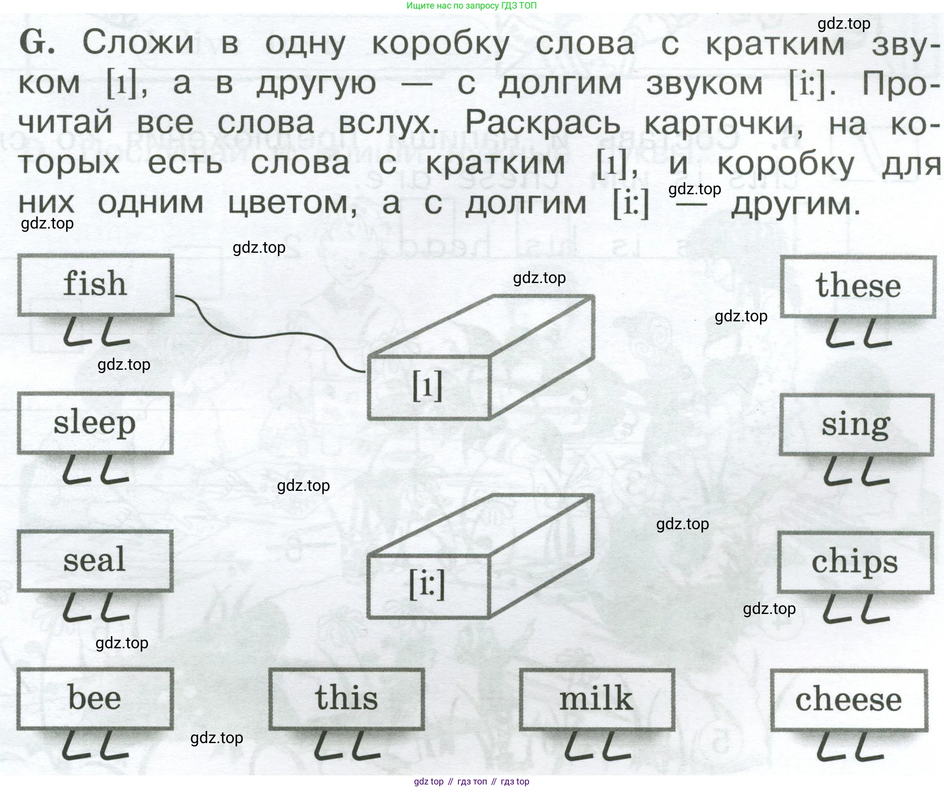Английский язык (english), 2 класс рабочая тетрадь (activity book), авторы: Вербицкая Мария Валерьевна (Verbitskaya Maria), Оралова Ольга Викторовна (Oralova Olga), Эббс Брайен (Abbs Brian), Уорелл Энн (Worrall Anne), Уорд Энн (Ward Ann), издательство Просвещение, Москва, 2023, зелёного цвета, страница 67, номер G, Условие