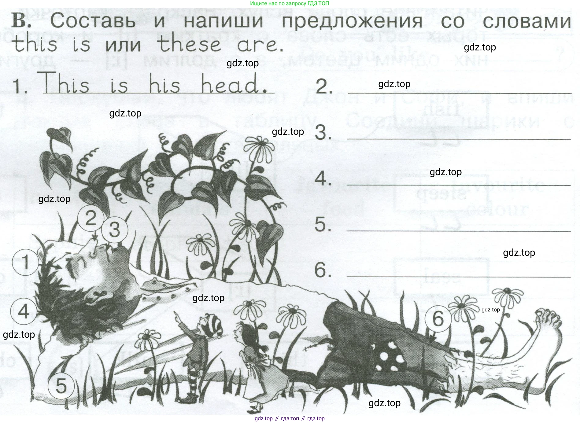 Английский язык (english), 2 класс рабочая тетрадь (activity book), авторы: Вербицкая Мария Валерьевна (Verbitskaya Maria), Оралова Ольга Викторовна (Oralova Olga), Эббс Брайен (Abbs Brian), Уорелл Энн (Worrall Anne), Уорд Энн (Ward Ann), издательство Просвещение, Москва, 2023, зелёного цвета, страница 68, номер B, Условие