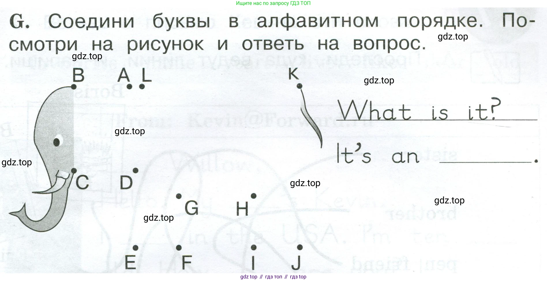 Английский язык (english), 2 класс рабочая тетрадь (activity book), авторы: Вербицкая Мария Валерьевна (Verbitskaya Maria), Оралова Ольга Викторовна (Oralova Olga), Эббс Брайен (Abbs Brian), Уорелл Энн (Worrall Anne), Уорд Энн (Ward Ann), издательство Просвещение, Москва, 2023, зелёного цвета, страница 81, номер G, Условие