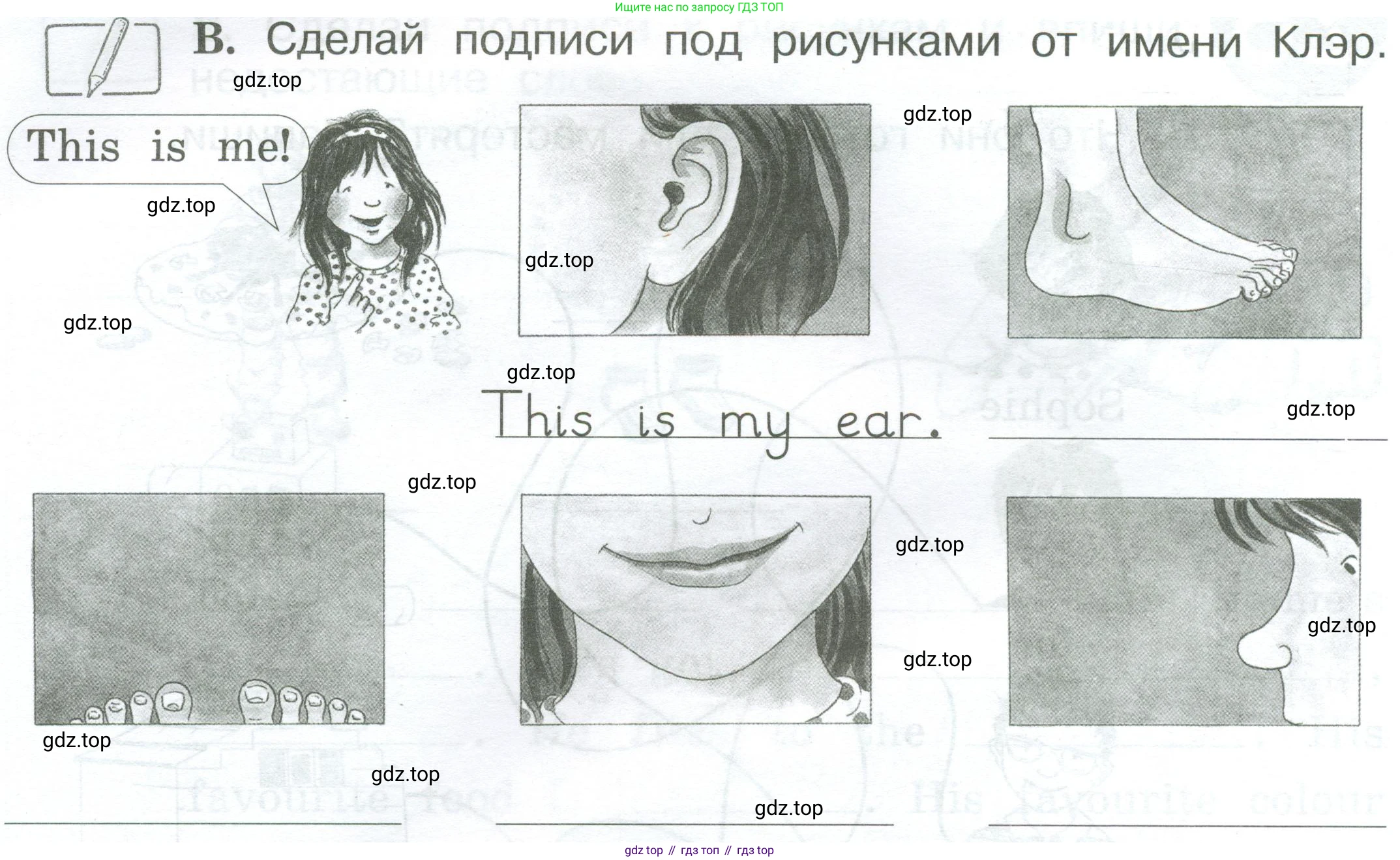 Английский язык (english), 2 класс рабочая тетрадь (activity book), авторы: Вербицкая Мария Валерьевна (Verbitskaya Maria), Оралова Ольга Викторовна (Oralova Olga), Эббс Брайен (Abbs Brian), Уорелл Энн (Worrall Anne), Уорд Энн (Ward Ann), издательство Просвещение, Москва, 2023, зелёного цвета, страница 86, номер B, Условие
