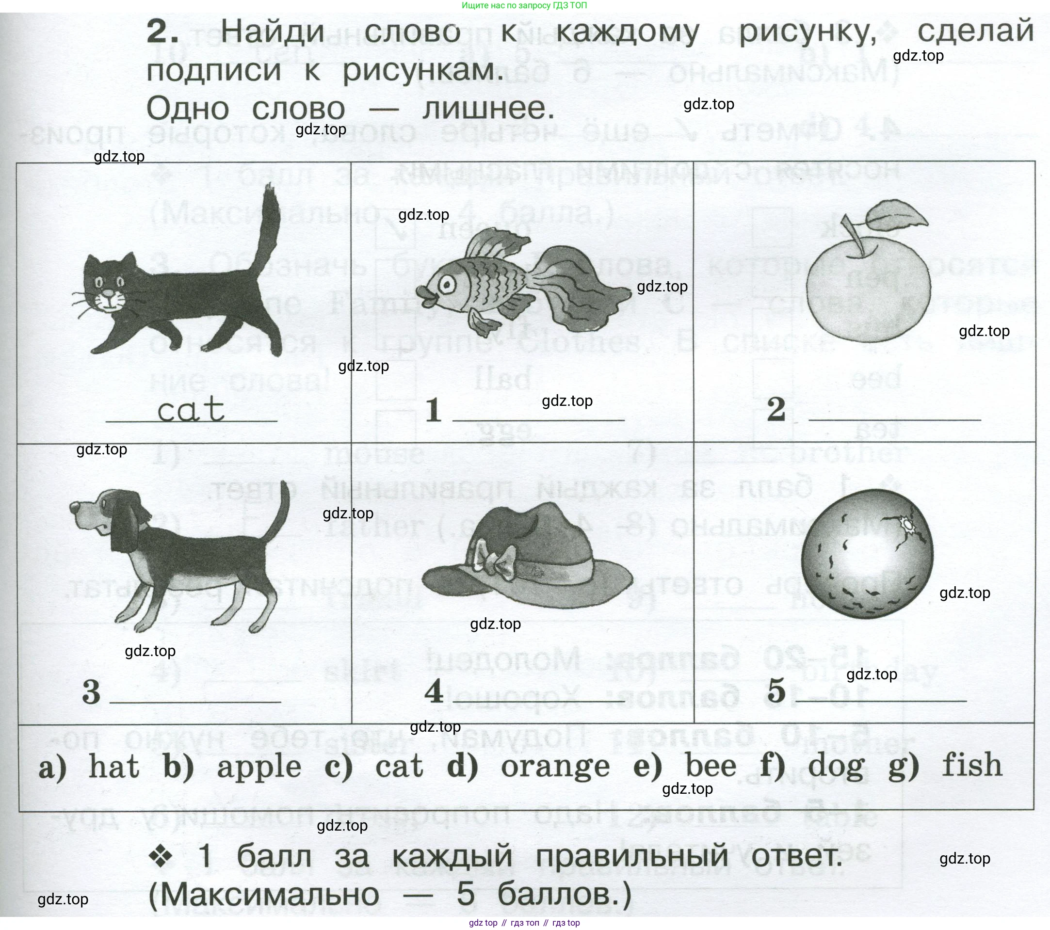 Английский язык (english), 2 класс рабочая тетрадь (activity book), авторы: Вербицкая Мария Валерьевна (Verbitskaya Maria), Оралова Ольга Викторовна (Oralova Olga), Эббс Брайен (Abbs Brian), Уорелл Энн (Worrall Anne), Уорд Энн (Ward Ann), издательство Просвещение, Москва, 2023, зелёного цвета, страница 91, номер 2, Условие