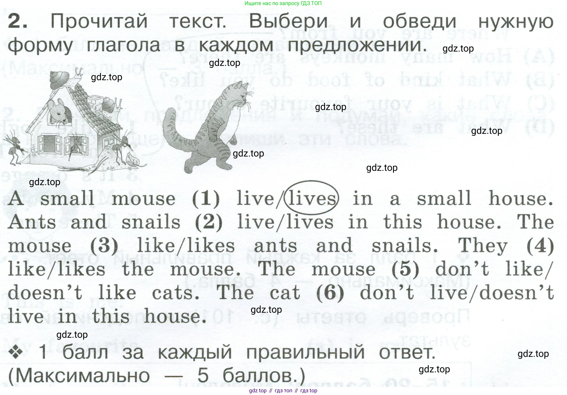 Английский язык (english), 2 класс рабочая тетрадь (activity book), авторы: Вербицкая Мария Валерьевна (Verbitskaya Maria), Оралова Ольга Викторовна (Oralova Olga), Эббс Брайен (Abbs Brian), Уорелл Энн (Worrall Anne), Уорд Энн (Ward Ann), издательство Просвещение, Москва, 2023, зелёного цвета, страница 95, номер 2, Условие