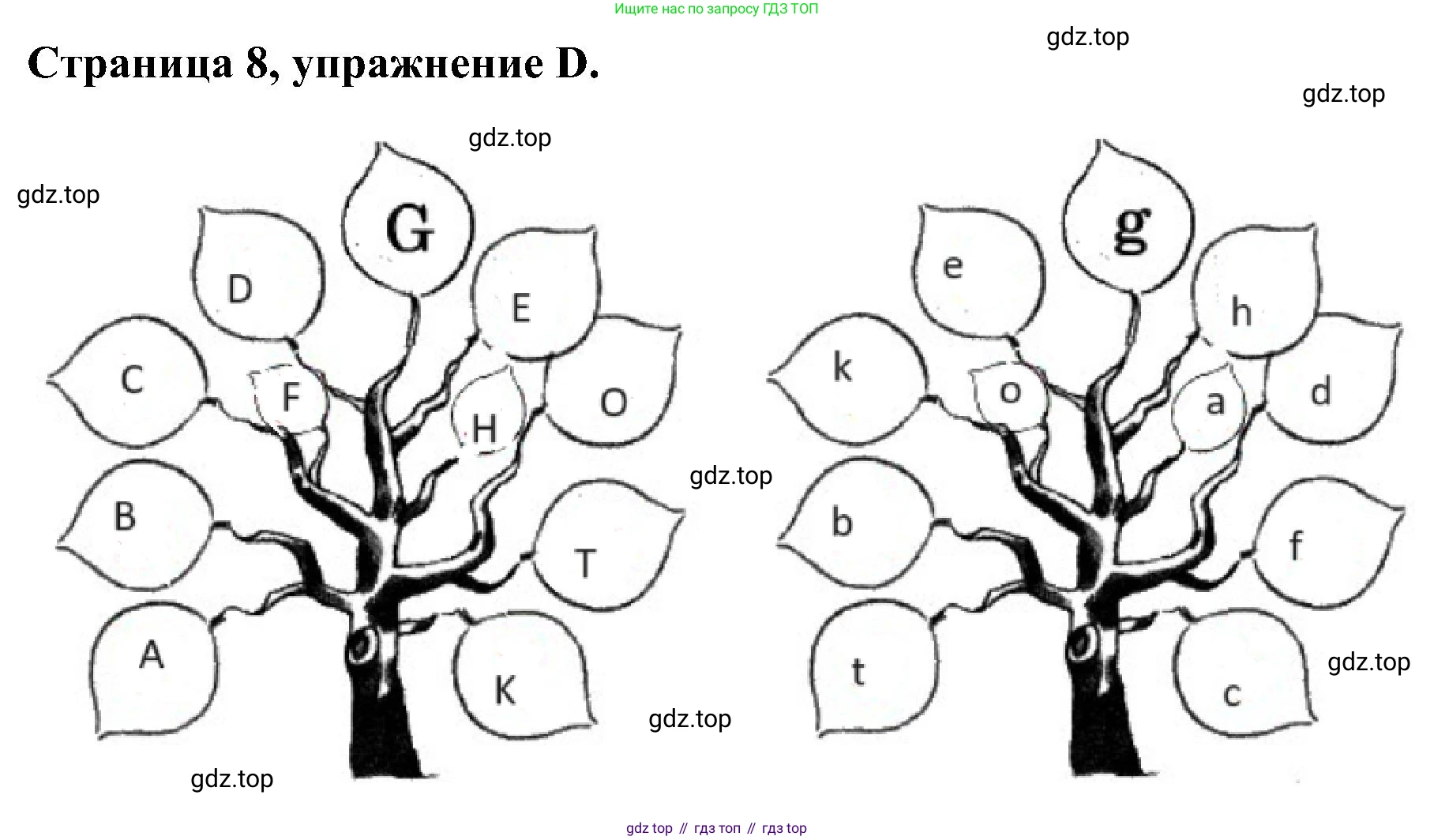 Английский язык (english), 2 класс рабочая тетрадь (activity book), авторы: Вербицкая Мария Валерьевна (Verbitskaya Maria), Оралова Ольга Викторовна (Oralova Olga), Эббс Брайен (Abbs Brian), Уорелл Энн (Worrall Anne), Уорд Энн (Ward Ann), издательство Просвещение, Москва, 2023, зелёного цвета, страница 8, номер D, Решение