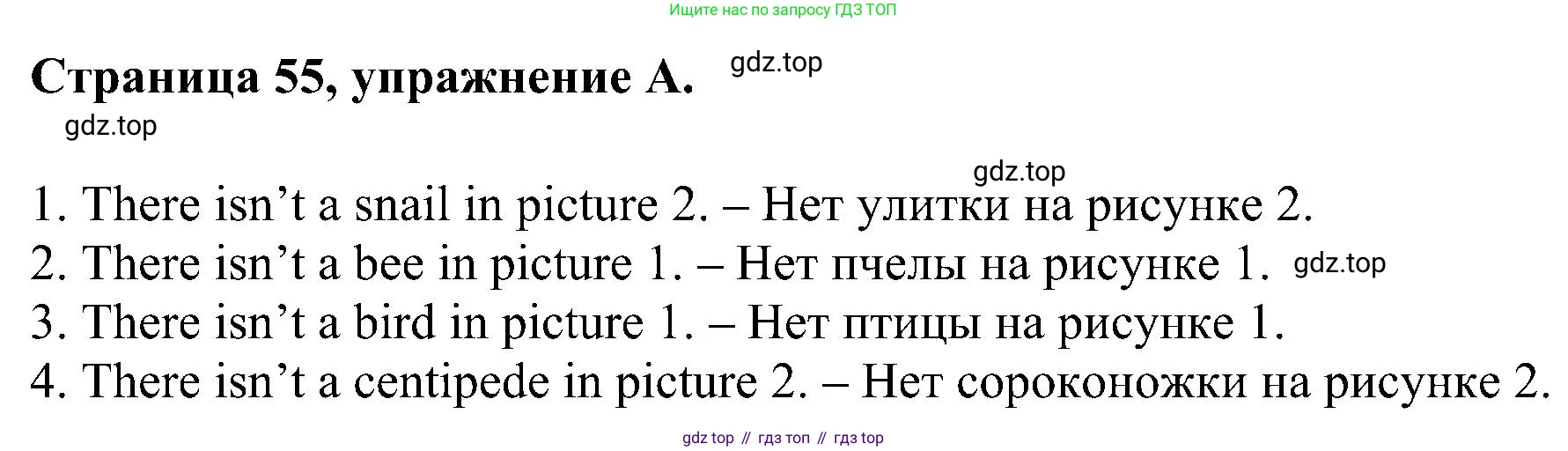 Английский язык (english), 2 класс рабочая тетрадь (activity book), авторы: Вербицкая Мария Валерьевна (Verbitskaya Maria), Оралова Ольга Викторовна (Oralova Olga), Эббс Брайен (Abbs Brian), Уорелл Энн (Worrall Anne), Уорд Энн (Ward Ann), издательство Просвещение, Москва, 2023, зелёного цвета, страница 55, номер A, Решение
