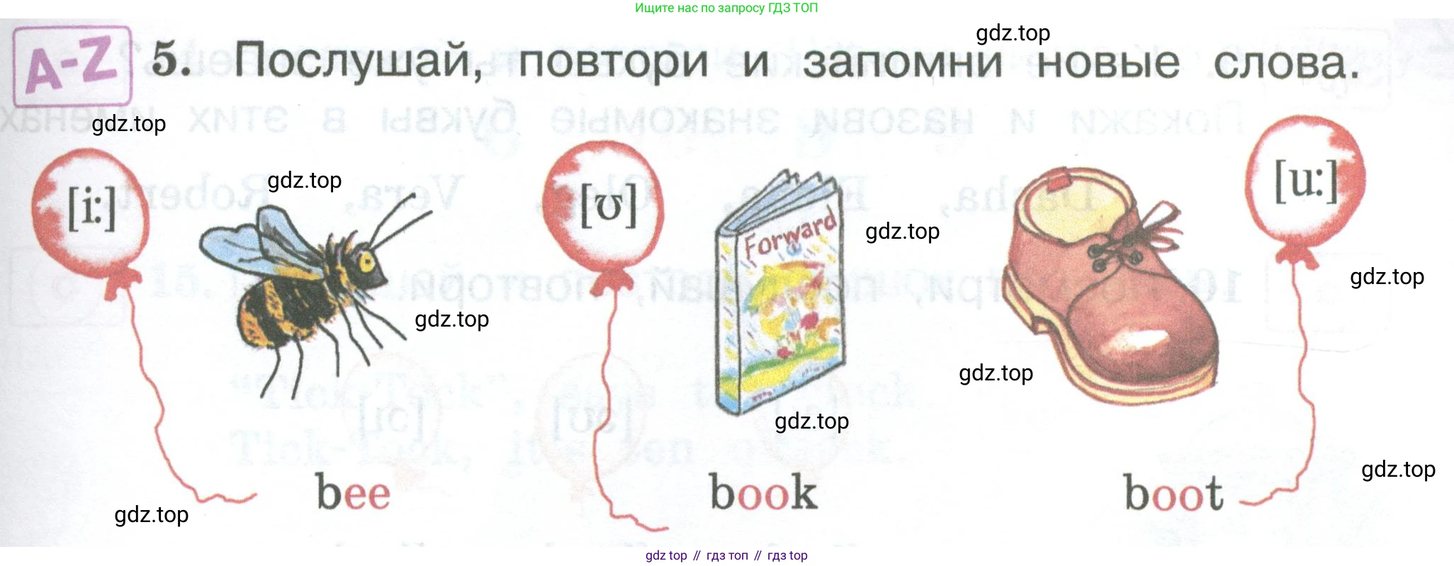 Английский язык (english), 2 класс Учебник (Student's book), авторы: Вербицкая Мария Валерьевна (Verbitskaya Maria), Эббс Брайен (Abbs Brian), Уорелл Энн (Worrall Anne), Уорд Энн (Ward Ann), Оралова Ольга Викторовна (Oralova Olga), издательство Просвещение, Москва, 2023, зелёного цвета, Часть ( Part) 1, страница 9, номер 5, Условие