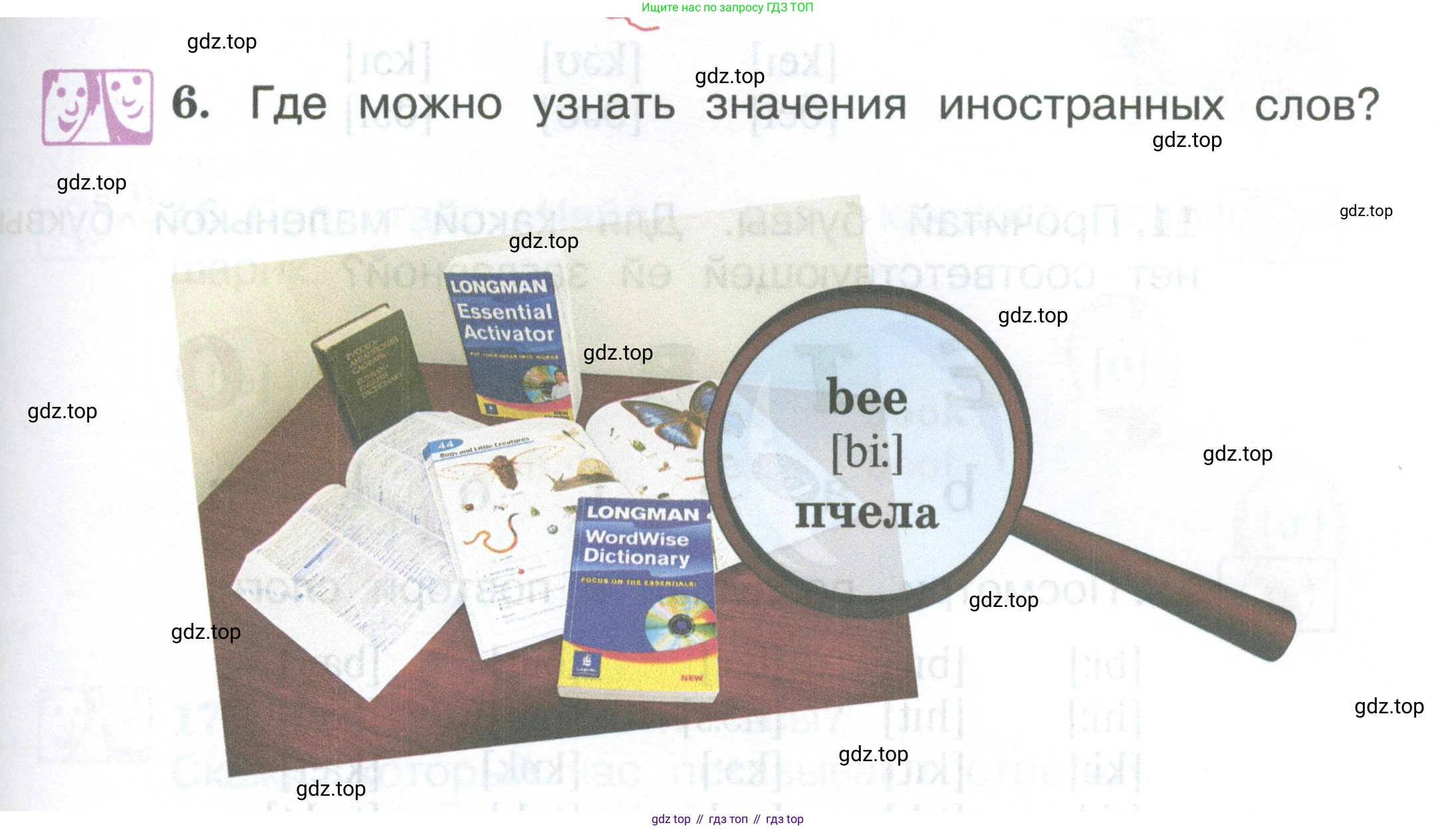 Английский язык (english), 2 класс Учебник (Student's book), авторы: Вербицкая Мария Валерьевна (Verbitskaya Maria), Эббс Брайен (Abbs Brian), Уорелл Энн (Worrall Anne), Уорд Энн (Ward Ann), Оралова Ольга Викторовна (Oralova Olga), издательство Просвещение, Москва, 2023, зелёного цвета, Часть ( Part) 1, страница 9, номер 6, Условие