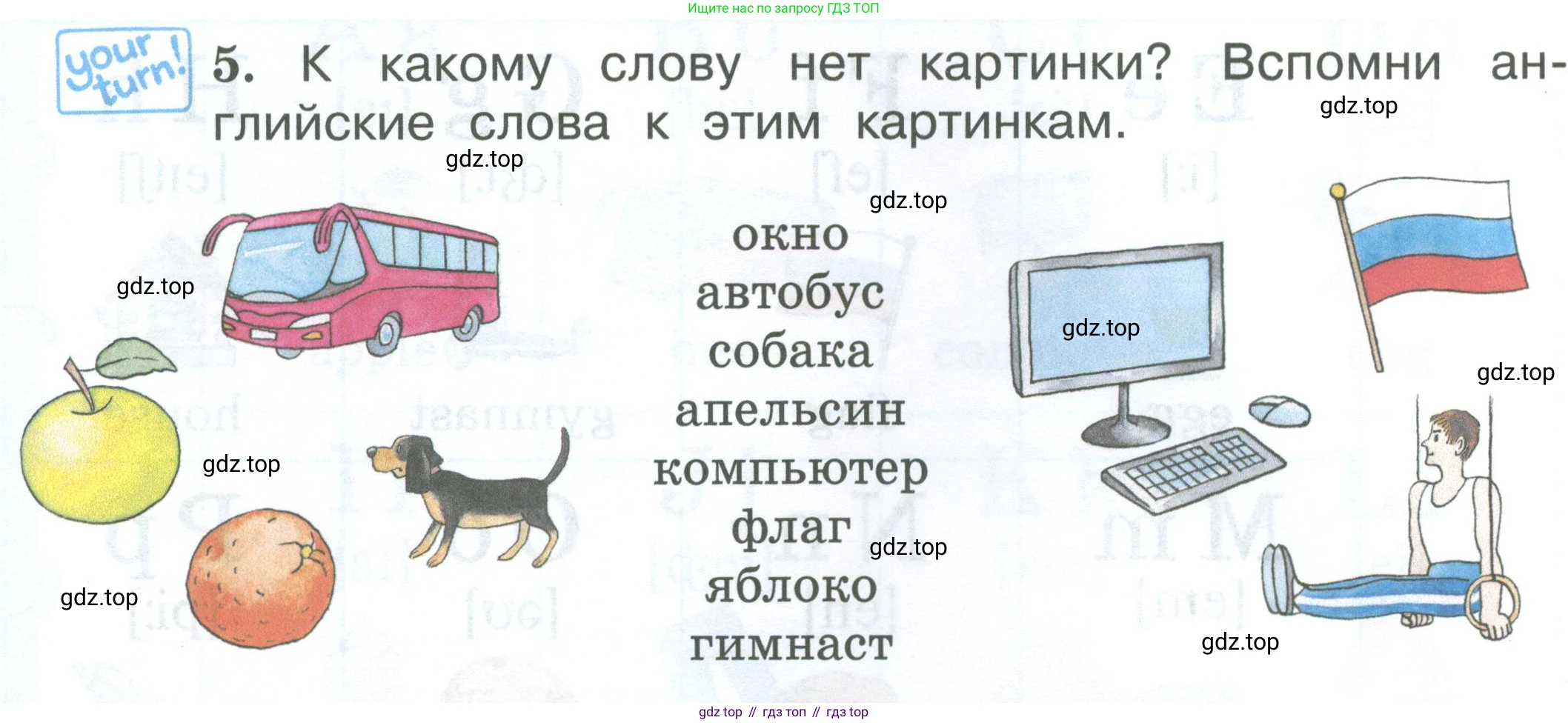 Английский язык (english), 2 класс Учебник (Student's book), авторы: Вербицкая Мария Валерьевна (Verbitskaya Maria), Эббс Брайен (Abbs Brian), Уорелл Энн (Worrall Anne), Уорд Энн (Ward Ann), Оралова Ольга Викторовна (Oralova Olga), издательство Просвещение, Москва, 2023, зелёного цвета, Часть ( Part) 1, страница 26, номер 5, Условие