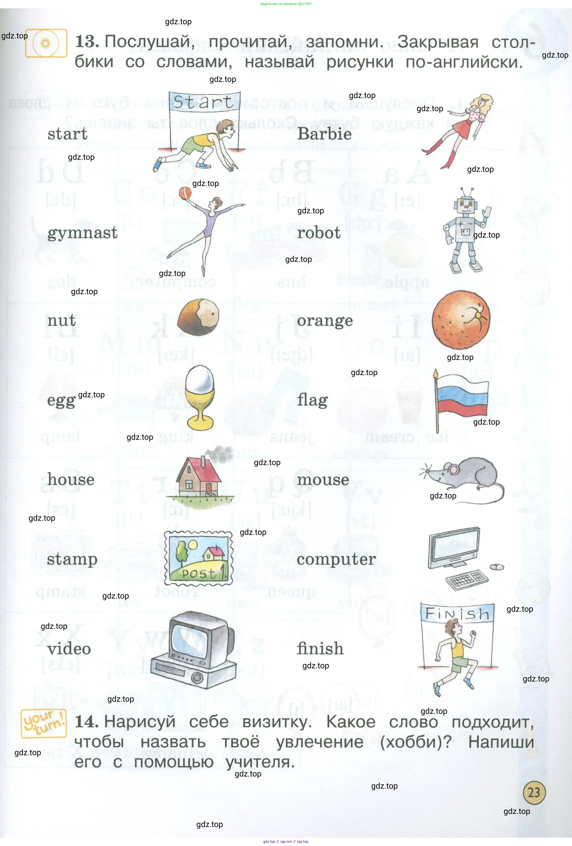 Английский язык (english), 2 класс Учебник (Student's book), авторы: Вербицкая Мария Валерьевна (Verbitskaya Maria), Эббс Брайен (Abbs Brian), Уорелл Энн (Worrall Anne), Уорд Энн (Ward Ann), Оралова Ольга Викторовна (Oralova Olga), издательство Просвещение, Москва, 2023, зелёного цвета, Часть ( Part) 1, страница 23