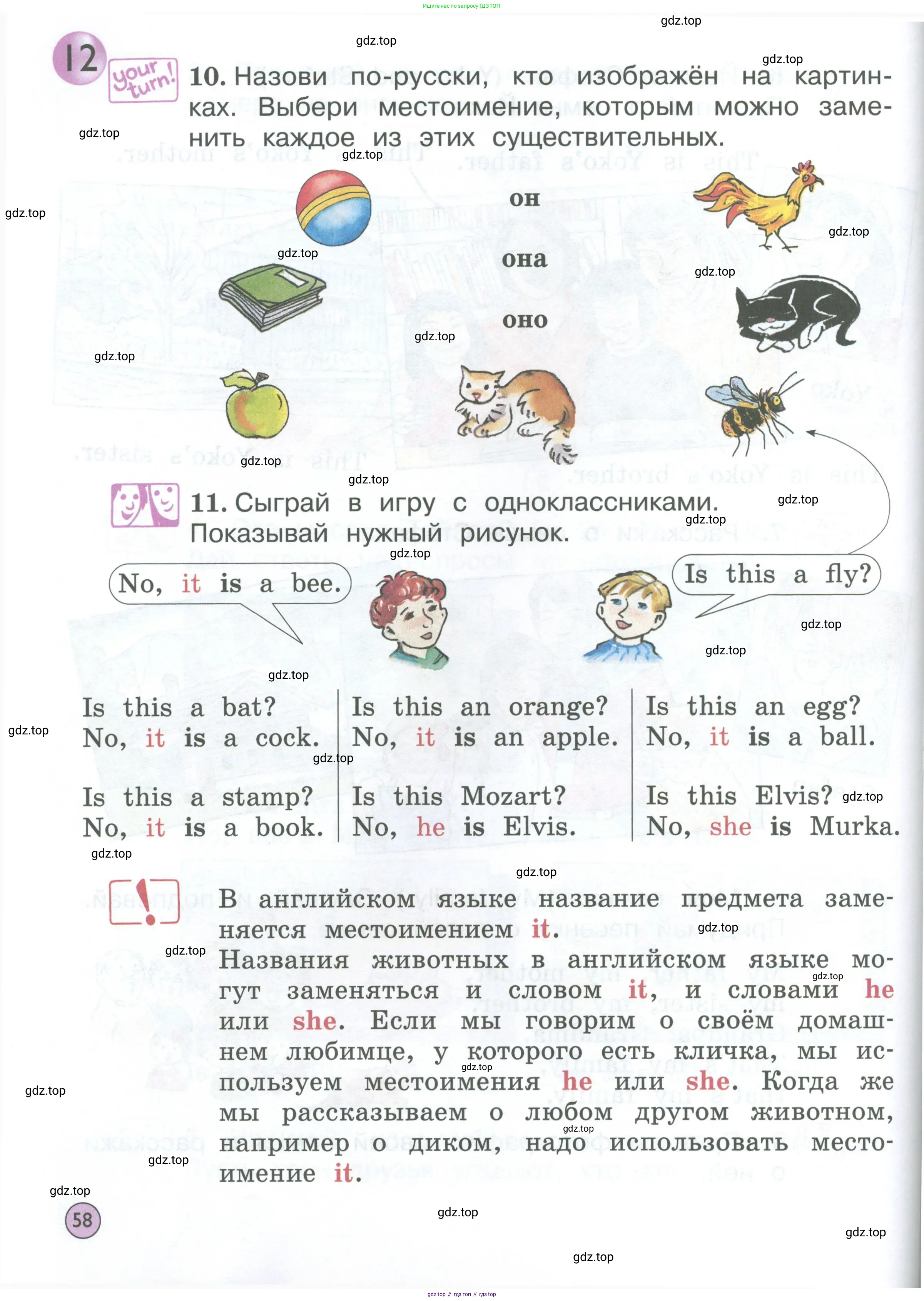 Английский язык (english), 2 класс Учебник (Student's book), авторы: Вербицкая Мария Валерьевна (Verbitskaya Maria), Эббс Брайен (Abbs Brian), Уорелл Энн (Worrall Anne), Уорд Энн (Ward Ann), Оралова Ольга Викторовна (Oralova Olga), издательство Просвещение, Москва, 2023, зелёного цвета, Часть ( Part) 1, страница 58