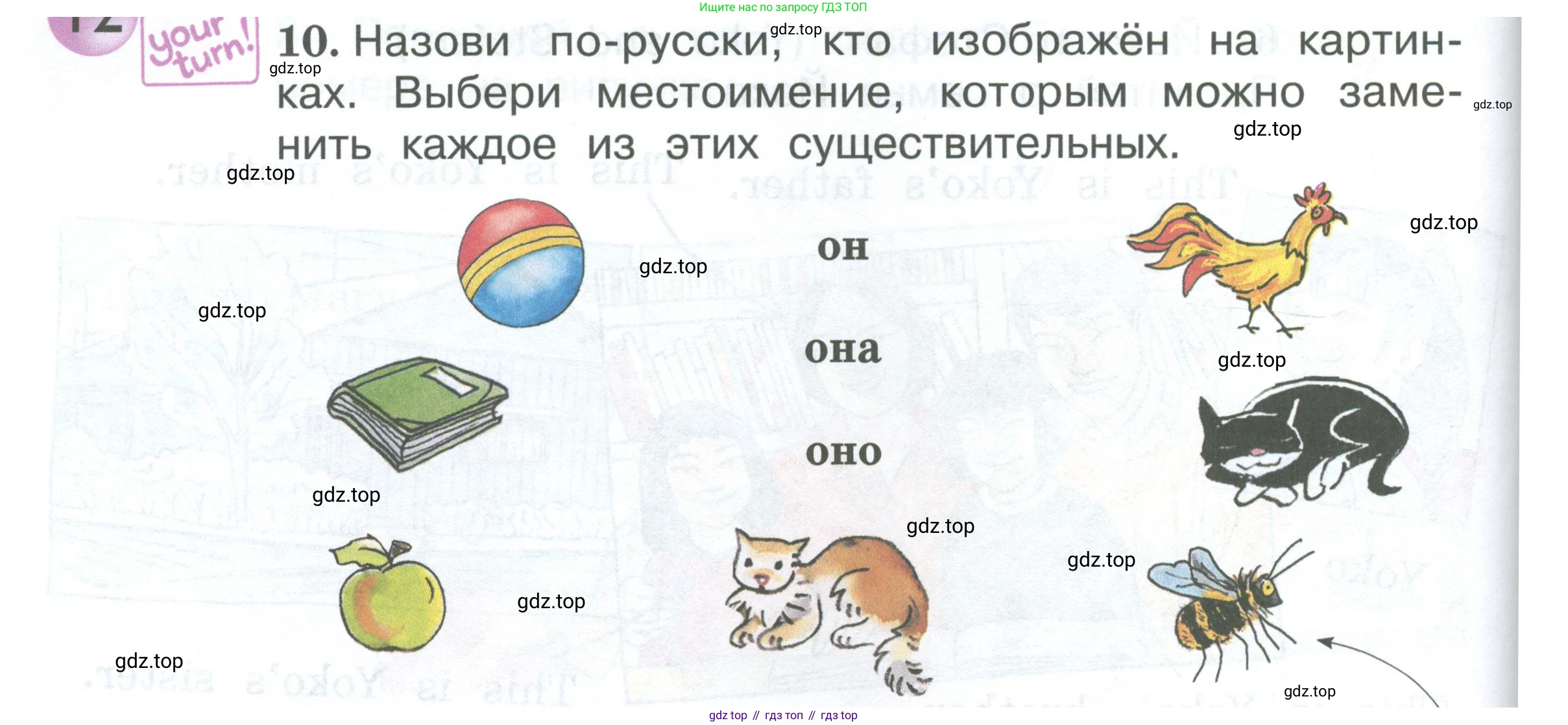 Английский язык (english), 2 класс Учебник (Student's book), авторы: Вербицкая Мария Валерьевна (Verbitskaya Maria), Эббс Брайен (Abbs Brian), Уорелл Энн (Worrall Anne), Уорд Энн (Ward Ann), Оралова Ольга Викторовна (Oralova Olga), издательство Просвещение, Москва, 2023, зелёного цвета, Часть ( Part) 1, страница 58, номер 10, Условие