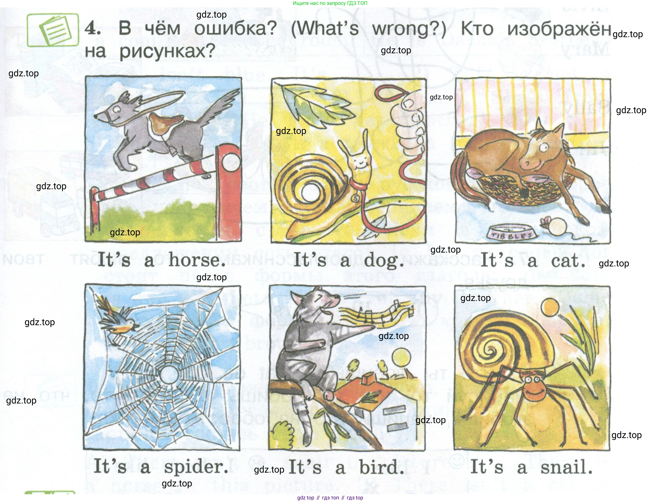Английский язык (english), 2 класс Учебник (Student's book), авторы: Вербицкая Мария Валерьевна (Verbitskaya Maria), Эббс Брайен (Abbs Brian), Уорелл Энн (Worrall Anne), Уорд Энн (Ward Ann), Оралова Ольга Викторовна (Oralova Olga), издательство Просвещение, Москва, 2023, зелёного цвета, Часть ( Part) 2, страница 29, номер 4, Условие