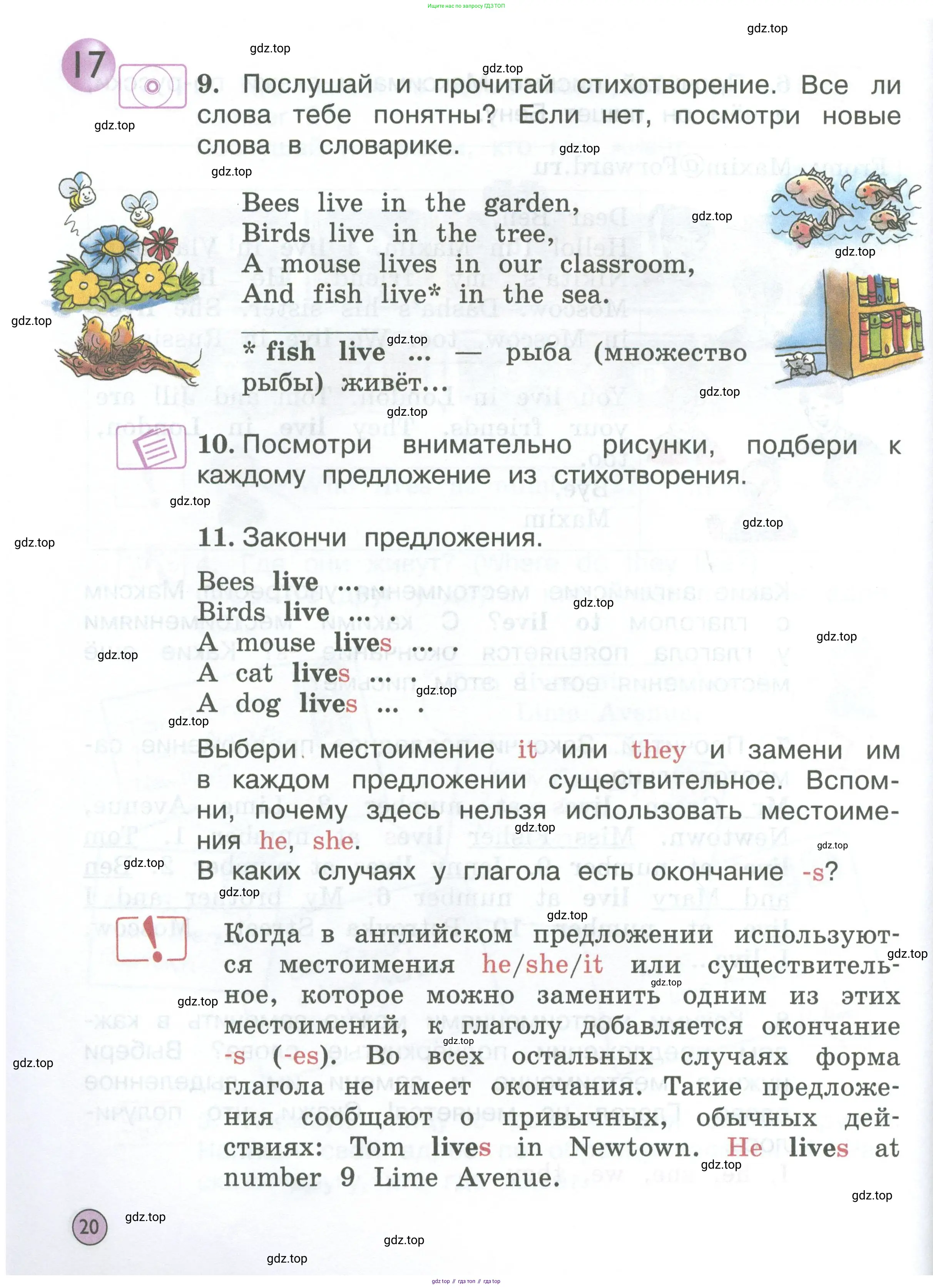 Английский язык (english), 2 класс Учебник (Student's book), авторы: Вербицкая Мария Валерьевна (Verbitskaya Maria), Эббс Брайен (Abbs Brian), Уорелл Энн (Worrall Anne), Уорд Энн (Ward Ann), Оралова Ольга Викторовна (Oralova Olga), издательство Просвещение, Москва, 2023, зелёного цвета, Часть ( Part) 1, страница 20