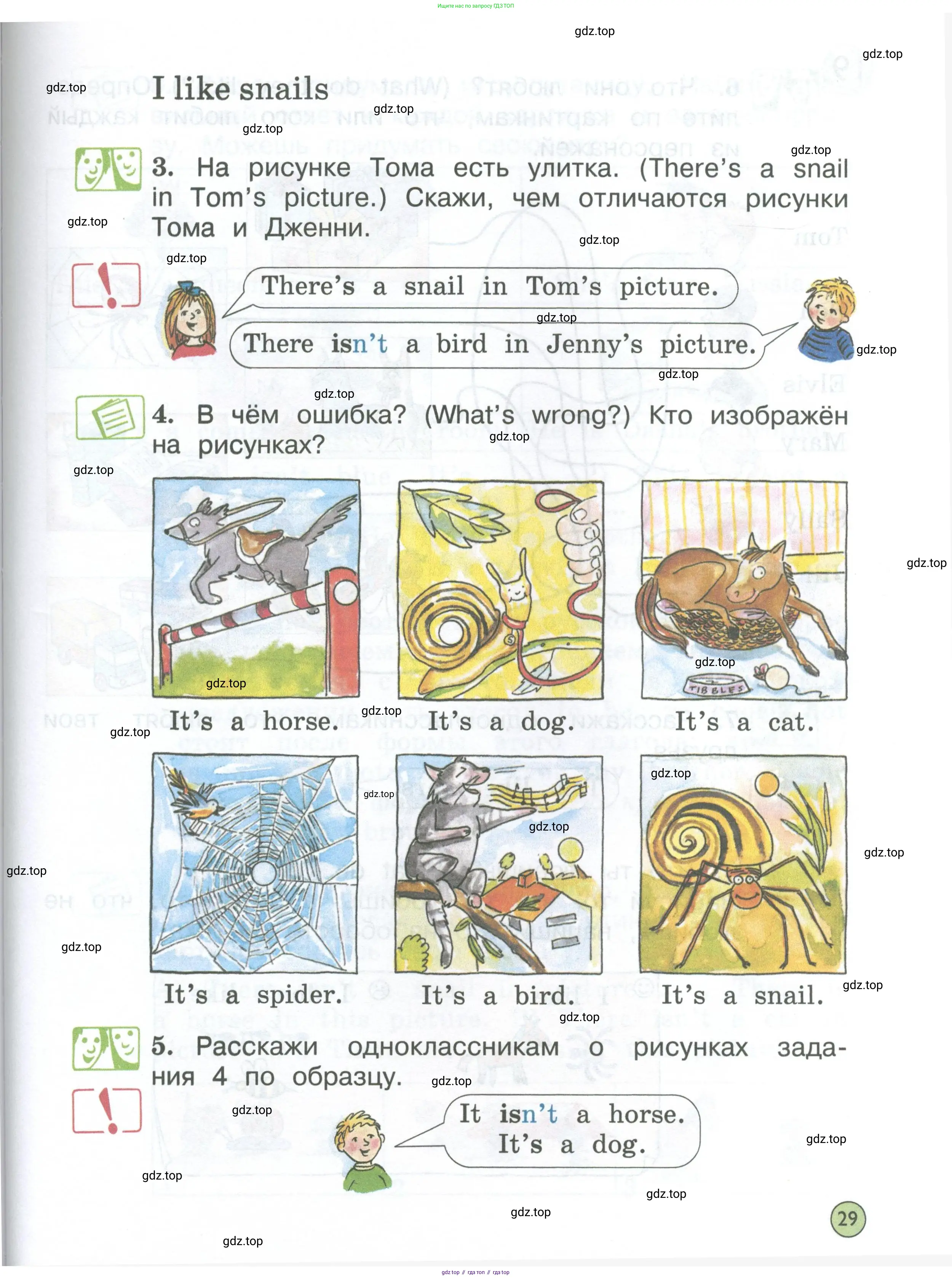 Английский язык (english), 2 класс Учебник (Student's book), авторы: Вербицкая Мария Валерьевна (Verbitskaya Maria), Эббс Брайен (Abbs Brian), Уорелл Энн (Worrall Anne), Уорд Энн (Ward Ann), Оралова Ольга Викторовна (Oralova Olga), издательство Просвещение, Москва, 2023, зелёного цвета, Часть ( Part) 1, страница 29