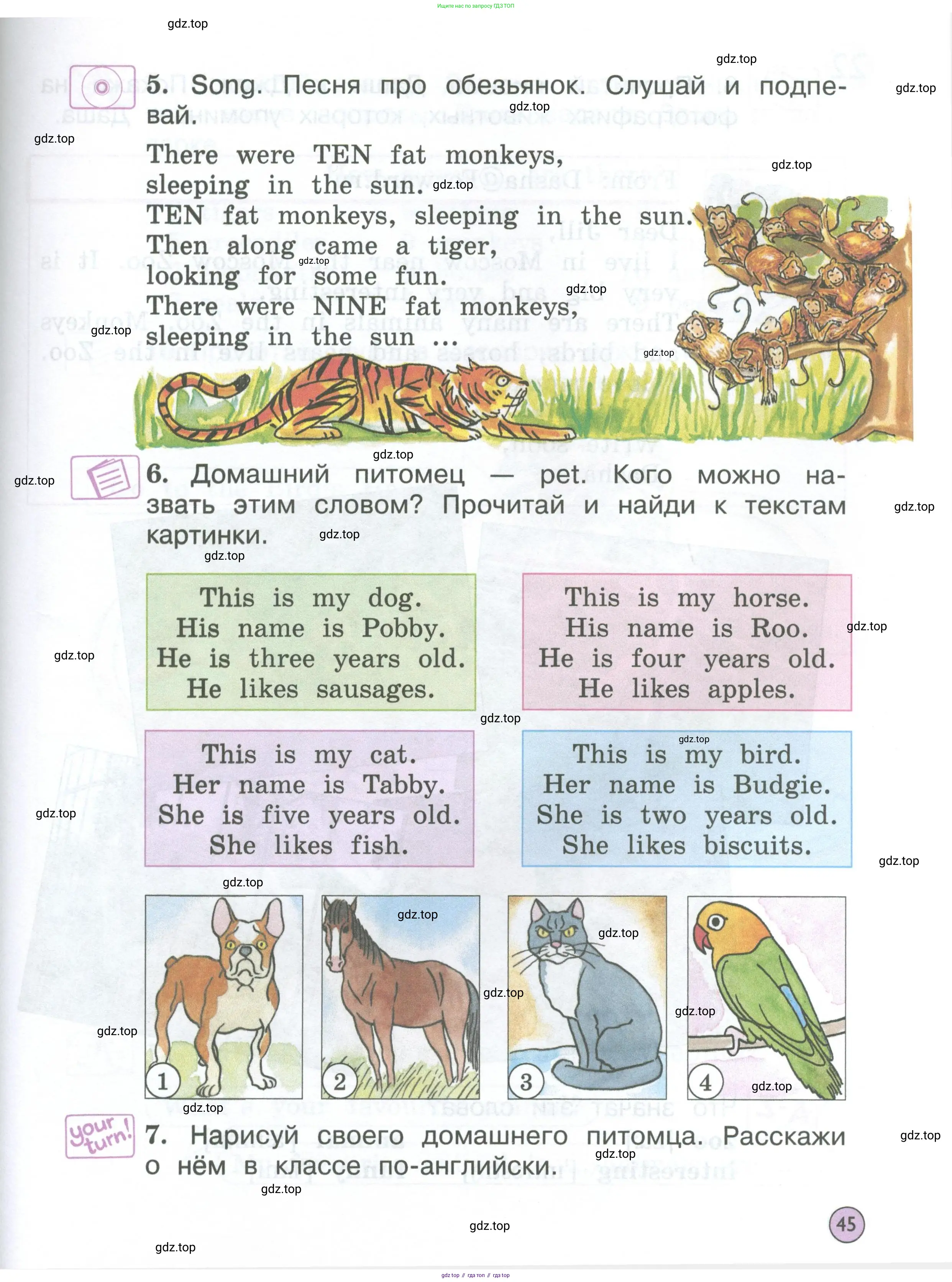Английский язык (english), 2 класс Учебник (Student's book), авторы: Вербицкая Мария Валерьевна (Verbitskaya Maria), Эббс Брайен (Abbs Brian), Уорелл Энн (Worrall Anne), Уорд Энн (Ward Ann), Оралова Ольга Викторовна (Oralova Olga), издательство Просвещение, Москва, 2023, зелёного цвета, Часть ( Part) 1, страница 45