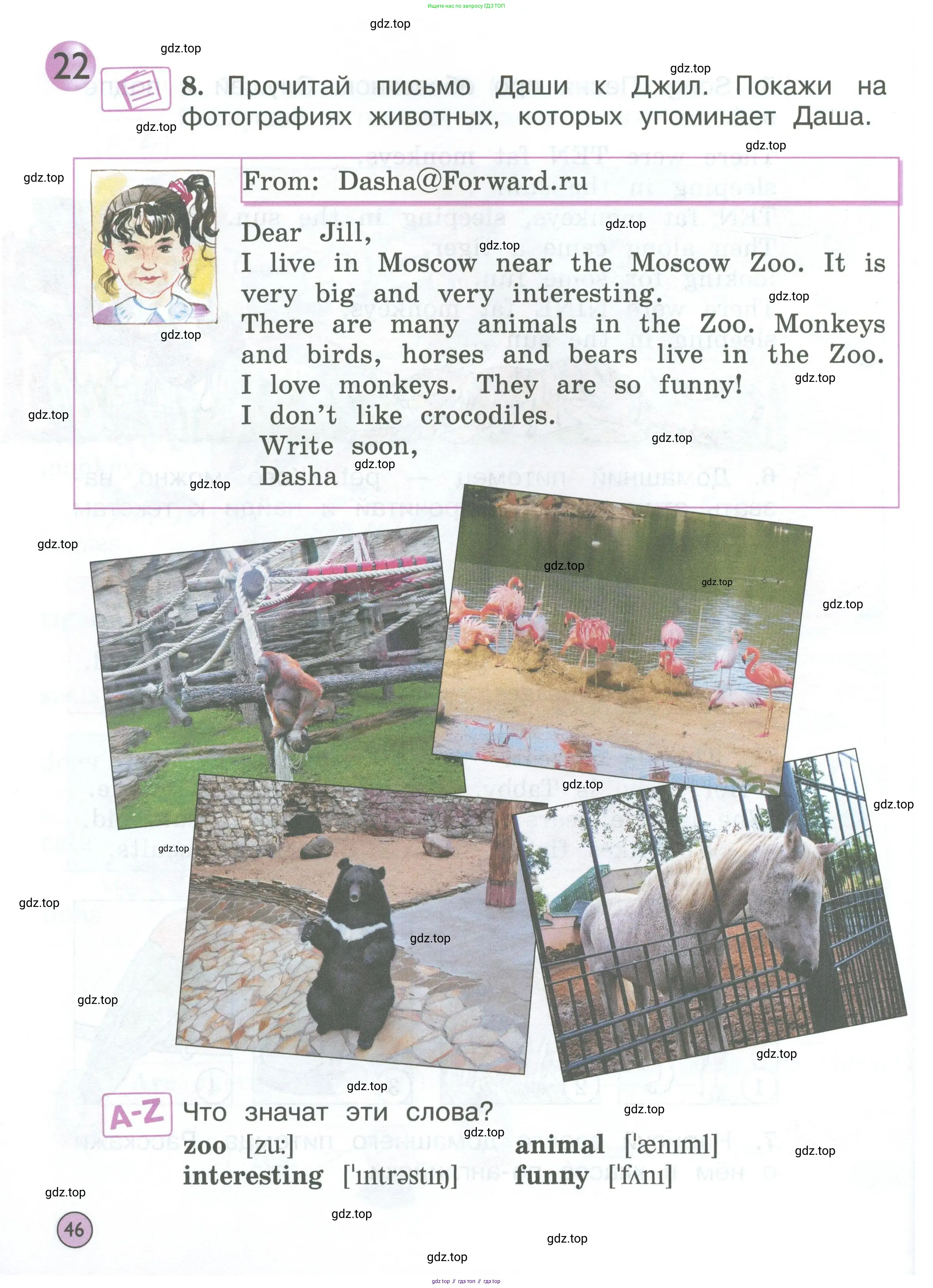 Английский язык (english), 2 класс Учебник (Student's book), авторы: Вербицкая Мария Валерьевна (Verbitskaya Maria), Эббс Брайен (Abbs Brian), Уорелл Энн (Worrall Anne), Уорд Энн (Ward Ann), Оралова Ольга Викторовна (Oralova Olga), издательство Просвещение, Москва, 2023, зелёного цвета, Часть ( Part) 1, страница 46