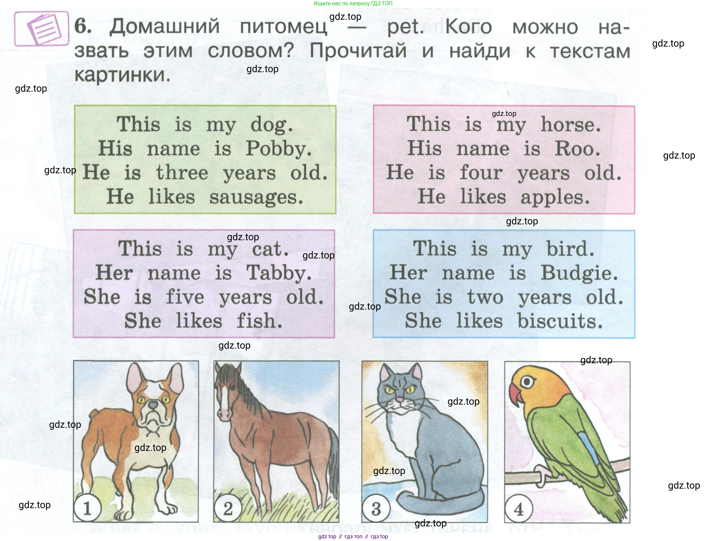 Английский язык (english), 2 класс Учебник (Student's book), авторы: Вербицкая Мария Валерьевна (Verbitskaya Maria), Эббс Брайен (Abbs Brian), Уорелл Энн (Worrall Anne), Уорд Энн (Ward Ann), Оралова Ольга Викторовна (Oralova Olga), издательство Просвещение, Москва, 2023, зелёного цвета, Часть ( Part) 2, страница 45, номер 6, Условие