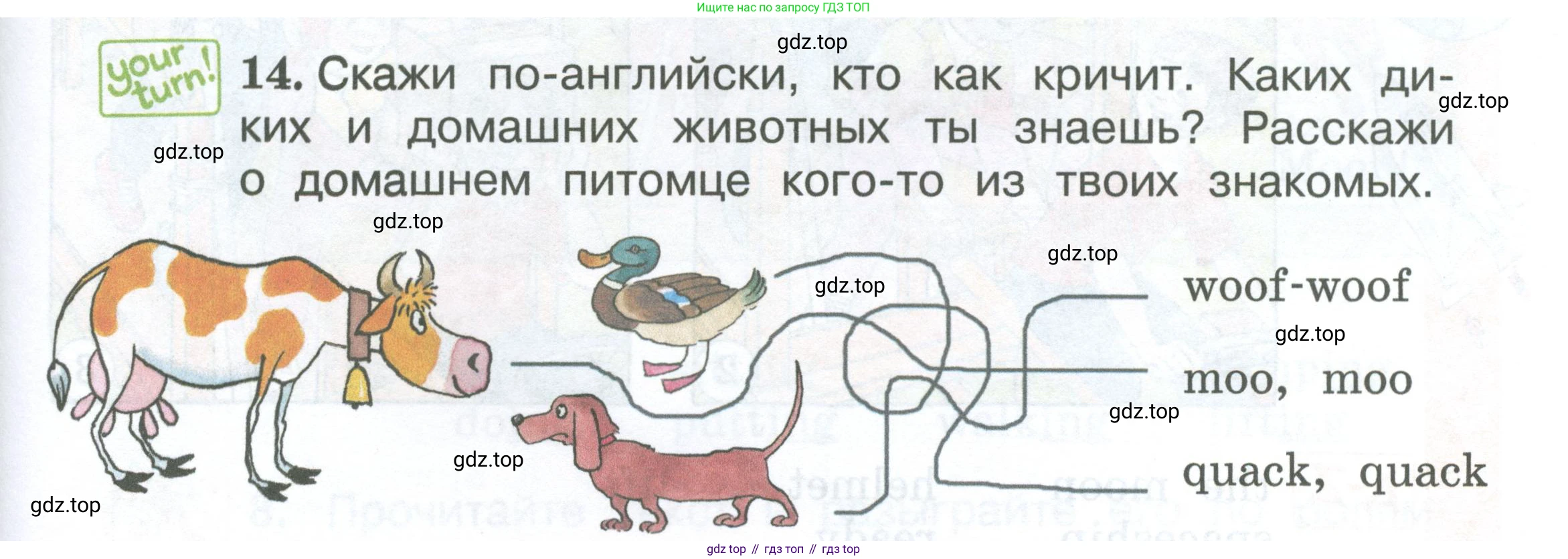 Английский язык (english), 2 класс Учебник (Student's book), авторы: Вербицкая Мария Валерьевна (Verbitskaya Maria), Эббс Брайен (Abbs Brian), Уорелл Энн (Worrall Anne), Уорд Энн (Ward Ann), Оралова Ольга Викторовна (Oralova Olga), издательство Просвещение, Москва, 2023, зелёного цвета, Часть ( Part) 2, страница 59, номер 14, Условие