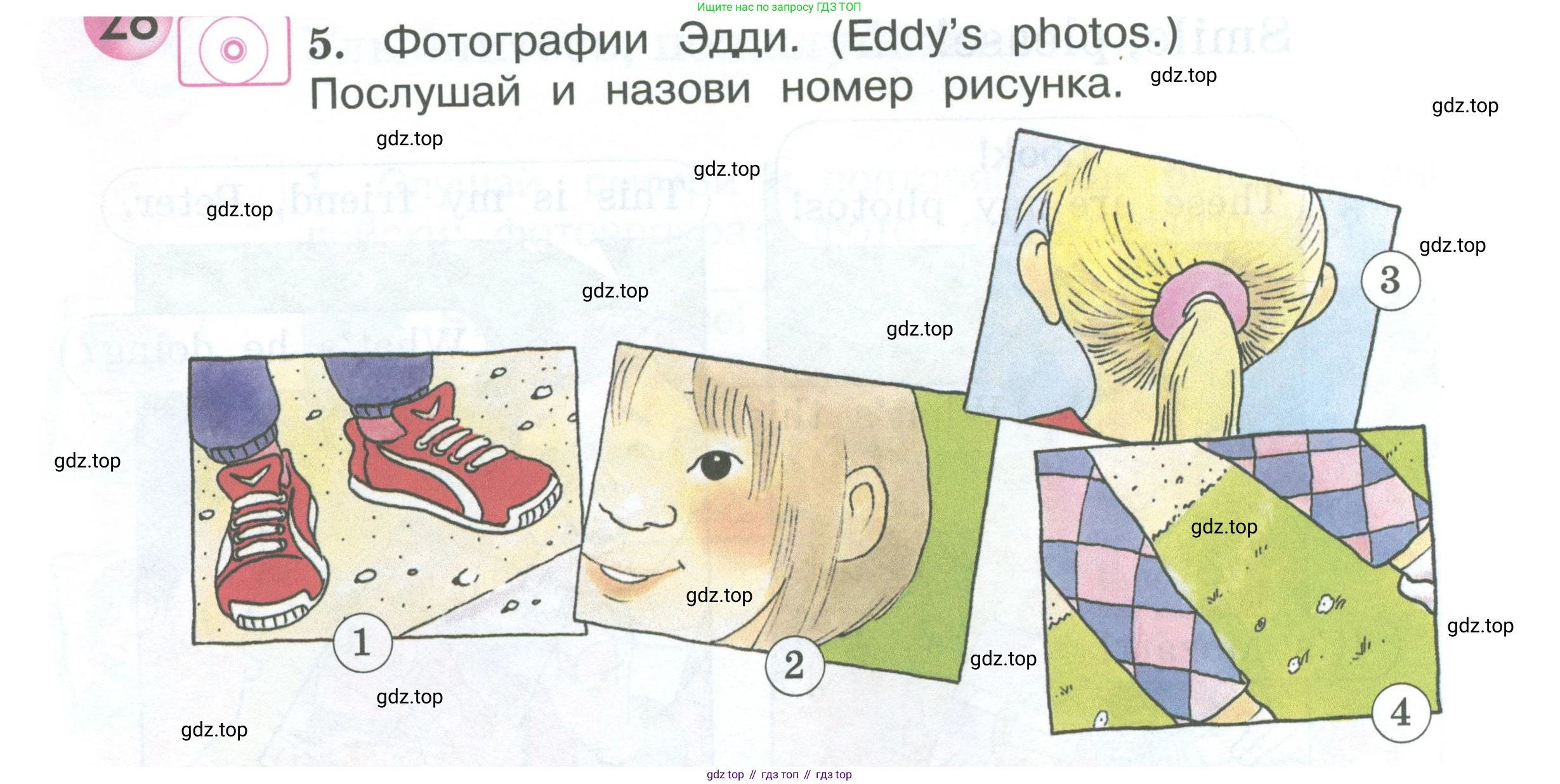 Английский язык (english), 2 класс Учебник (Student's book), авторы: Вербицкая Мария Валерьевна (Verbitskaya Maria), Эббс Брайен (Abbs Brian), Уорелл Энн (Worrall Anne), Уорд Энн (Ward Ann), Оралова Ольга Викторовна (Oralova Olga), издательство Просвещение, Москва, 2023, зелёного цвета, Часть ( Part) 2, страница 80, номер 5, Условие