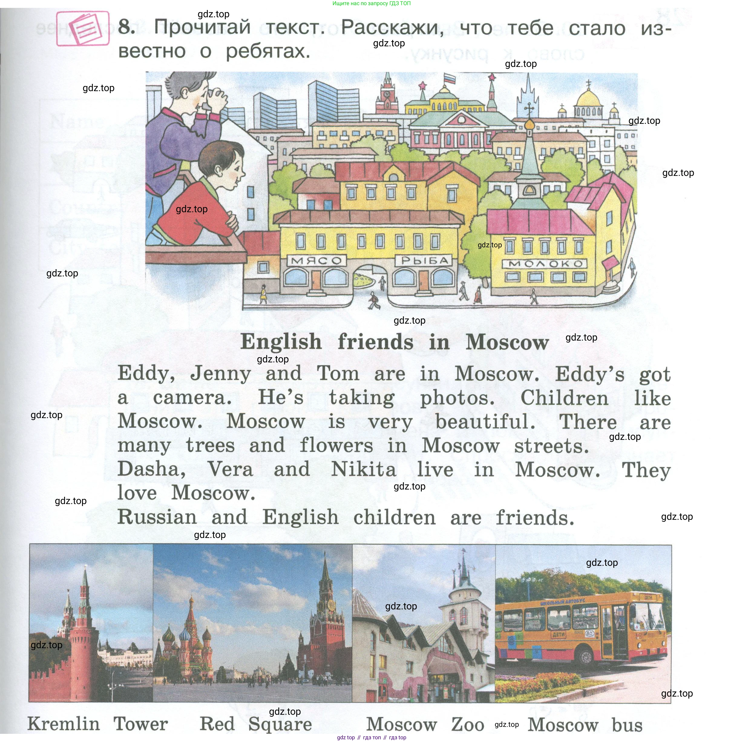 Английский язык (english), 2 класс Учебник (Student's book), авторы: Вербицкая Мария Валерьевна (Verbitskaya Maria), Эббс Брайен (Abbs Brian), Уорелл Энн (Worrall Anne), Уорд Энн (Ward Ann), Оралова Ольга Викторовна (Oralova Olga), издательство Просвещение, Москва, 2023, зелёного цвета, Часть ( Part) 2, страница 81, номер 8, Условие