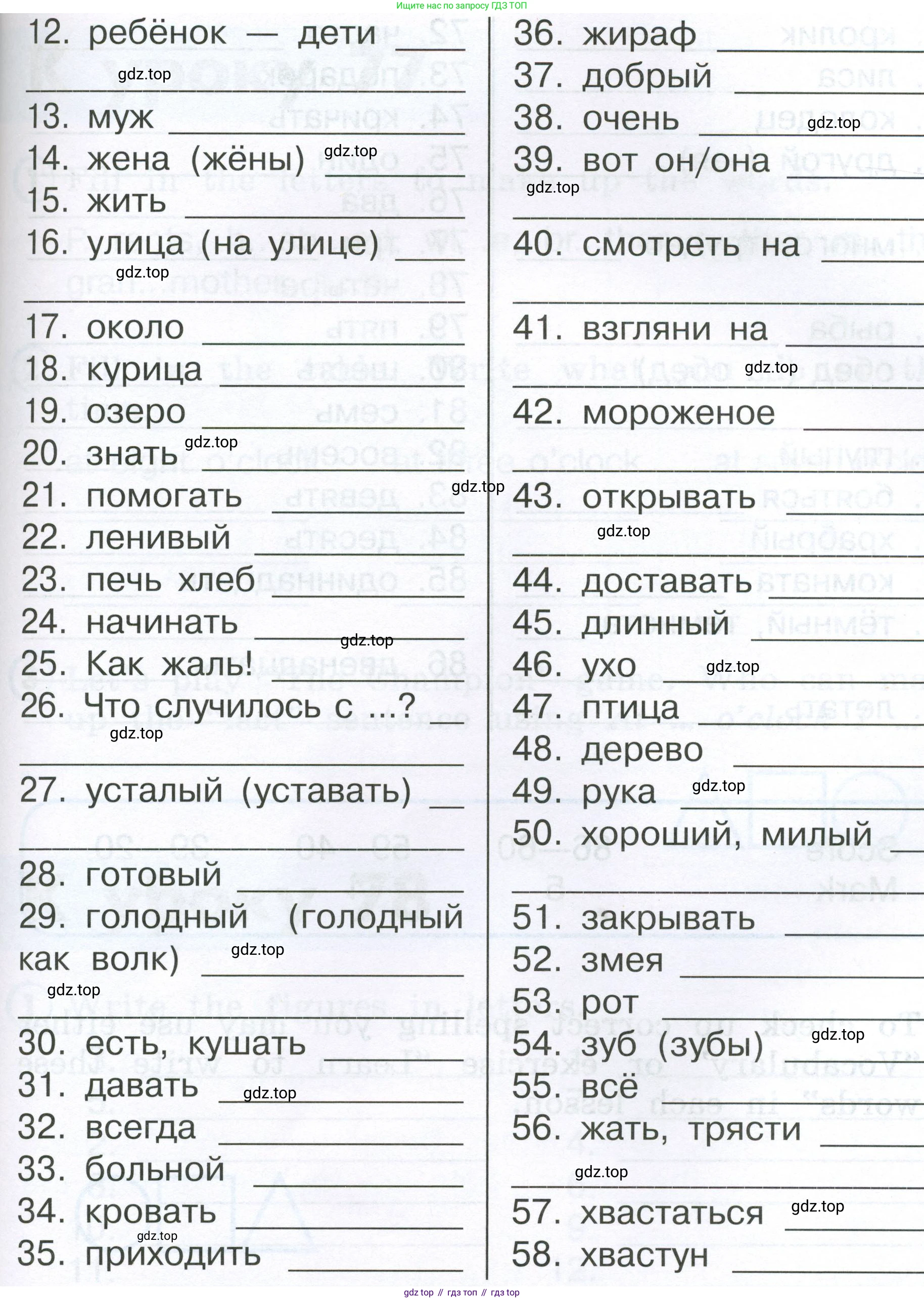 Английский язык (english), 2 класс Рабочая тетрадь (workbook), авторы: Верещагина Ирина Николаевна (Vereshchagina Irina), Бондаренко Кира Алексеевна (Bondarenko Kira), Притыкина Тамара Александровна (Pritykina Tamara), издательство Просвещение, Москва, 2023, белого цвета, страница 88, номер 3, Условие (продолжение 2)