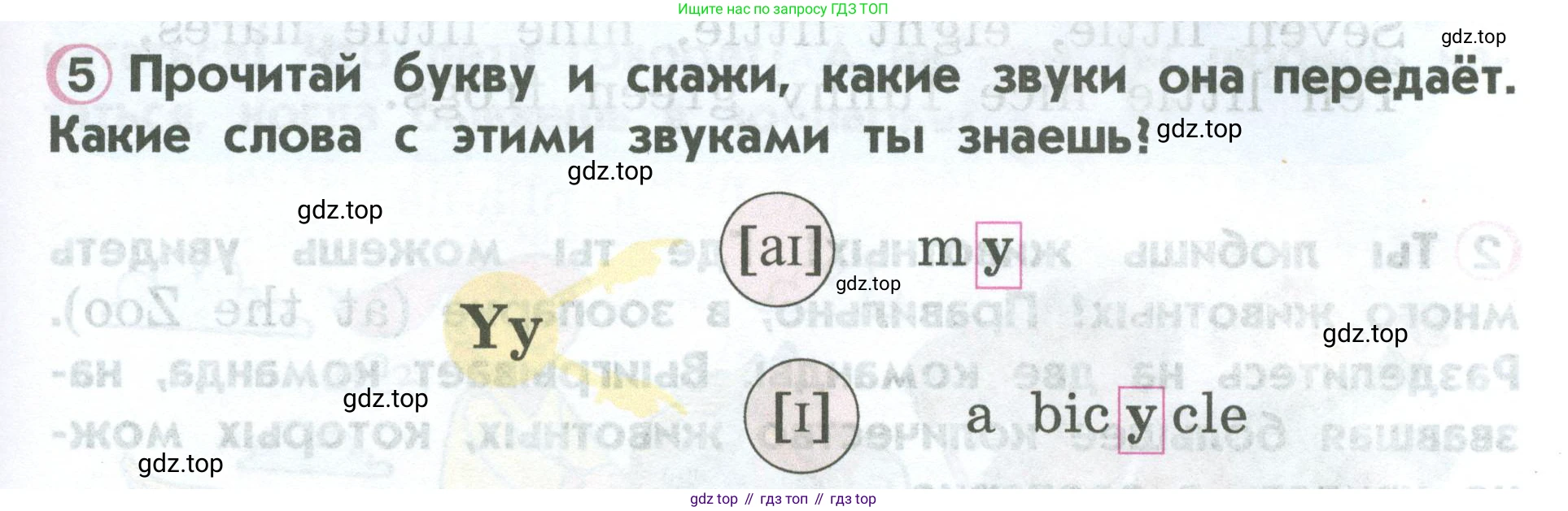 ГДЗ Английский язык (english), 2 класс Учебник (Student's book), авторы: Верещагина Ирина Николаевна (Vereshchagina Irina), Бондаренко Кира Алексеевна (Bondarenko Kira), Притыкина Тамара Александровна (Pritykina Tamara), издательство Просвещение, Москва, 2023, белого цвета, Часть ( Part) 1, страница 47, номер 5, Условие