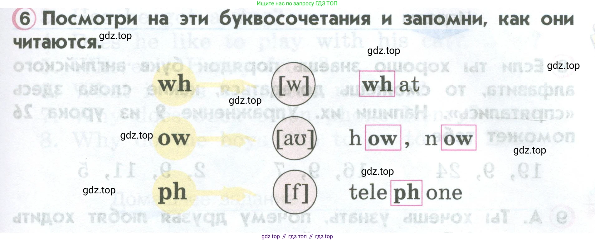 ГДЗ Английский язык (english), 2 класс Учебник (Student's book), авторы: Верещагина Ирина Николаевна (Vereshchagina Irina), Бондаренко Кира Алексеевна (Bondarenko Kira), Притыкина Тамара Александровна (Pritykina Tamara), издательство Просвещение, Москва, 2023, белого цвета, Часть ( Part) 1, страница 63, номер 6, Условие