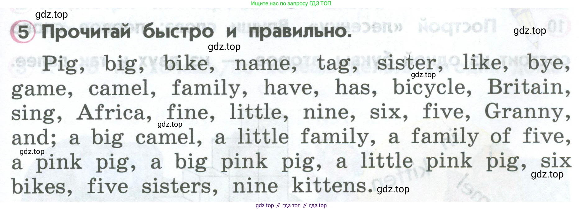 ГДЗ Английский язык (english), 2 класс Учебник (Student's book), авторы: Верещагина Ирина Николаевна (Vereshchagina Irina), Бондаренко Кира Алексеевна (Bondarenko Kira), Притыкина Тамара Александровна (Pritykina Tamara), издательство Просвещение, Москва, 2023, белого цвета, Часть ( Part) 1, страница 67, номер 5, Условие