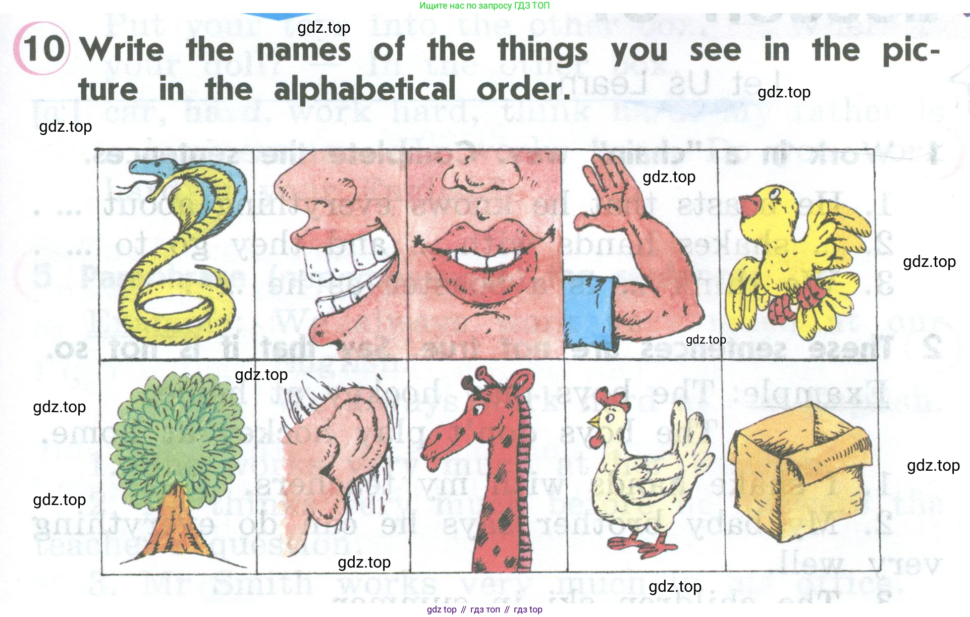 ГДЗ Английский язык (english), 2 класс Учебник (Student's book), авторы: Верещагина Ирина Николаевна (Vereshchagina Irina), Бондаренко Кира Алексеевна (Bondarenko Kira), Притыкина Тамара Александровна (Pritykina Tamara), издательство Просвещение, Москва, 2023, белого цвета, Часть ( Part) 2, страница 69, номер 10, Условие