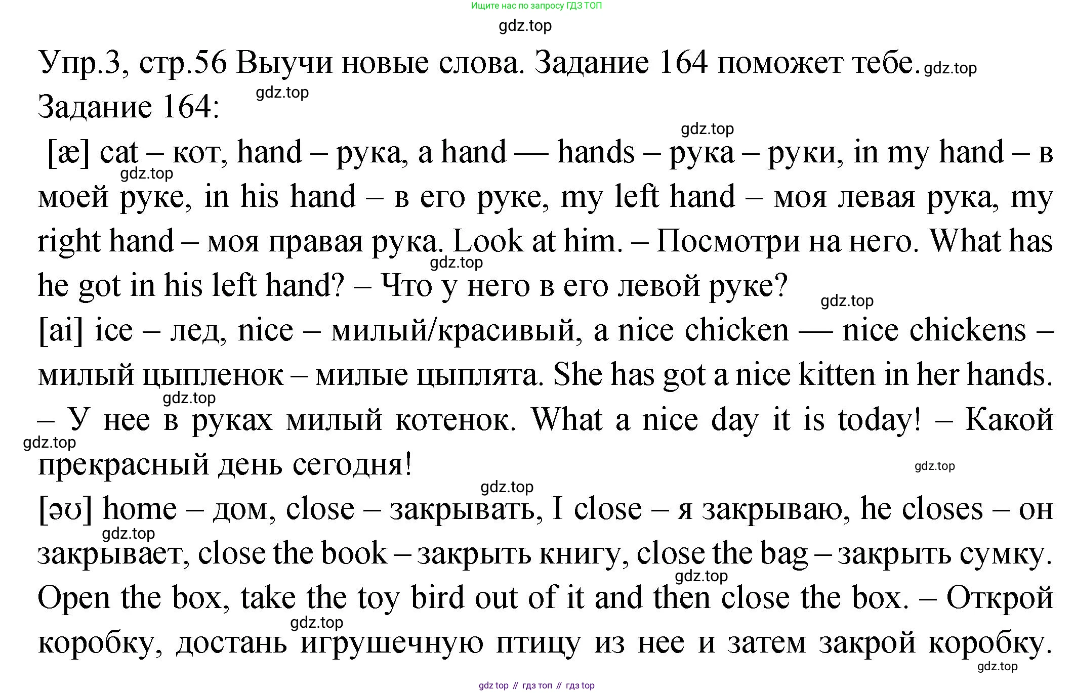 ГДЗ Английский язык (english), 2 класс Учебник (Student's book), авторы: Верещагина Ирина Николаевна (Vereshchagina Irina), Бондаренко Кира Алексеевна (Bondarenko Kira), Притыкина Тамара Александровна (Pritykina Tamara), издательство Просвещение, Москва, 2023, белого цвета, Часть ( Part) 2, страница 56, номер 3, Решение