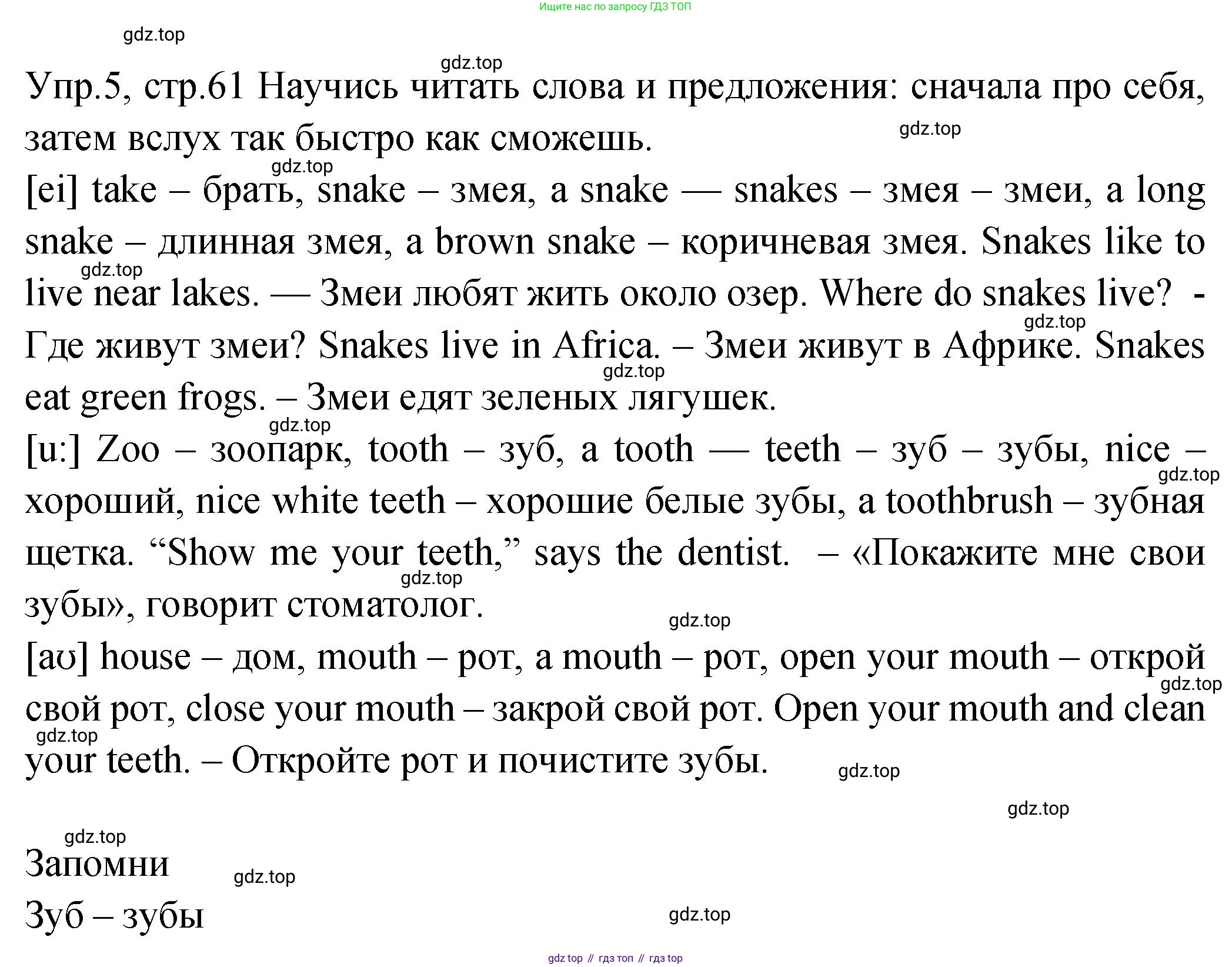 ГДЗ Английский язык (english), 2 класс Учебник (Student's book), авторы: Верещагина Ирина Николаевна (Vereshchagina Irina), Бондаренко Кира Алексеевна (Bondarenko Kira), Притыкина Тамара Александровна (Pritykina Tamara), издательство Просвещение, Москва, 2023, белого цвета, Часть ( Part) 2, страница 61, номер 5, Решение