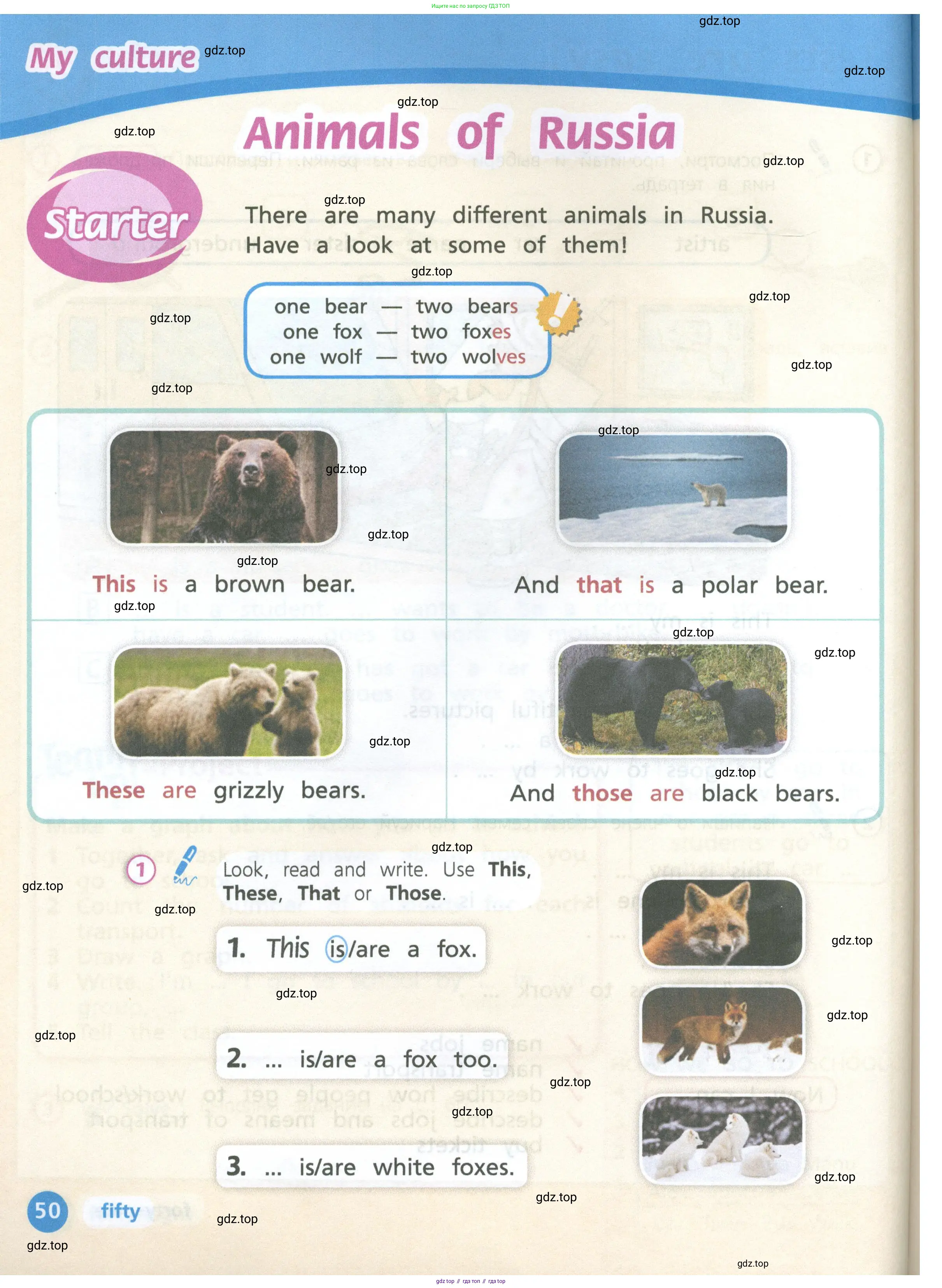 Английский язык (english), 3 класс Учебник (Student's book), авторы: Костюк Евгения Владимировна (Kostyuk Evgeniya), Колоницкая Лидия Борисовна (Kolonitskaya Lidiya), Кустаф Лесли (Koustaff Lesley), издательство Просвещение, Москва, 2023, белого цвета, Часть ( Part) 1, страница 50