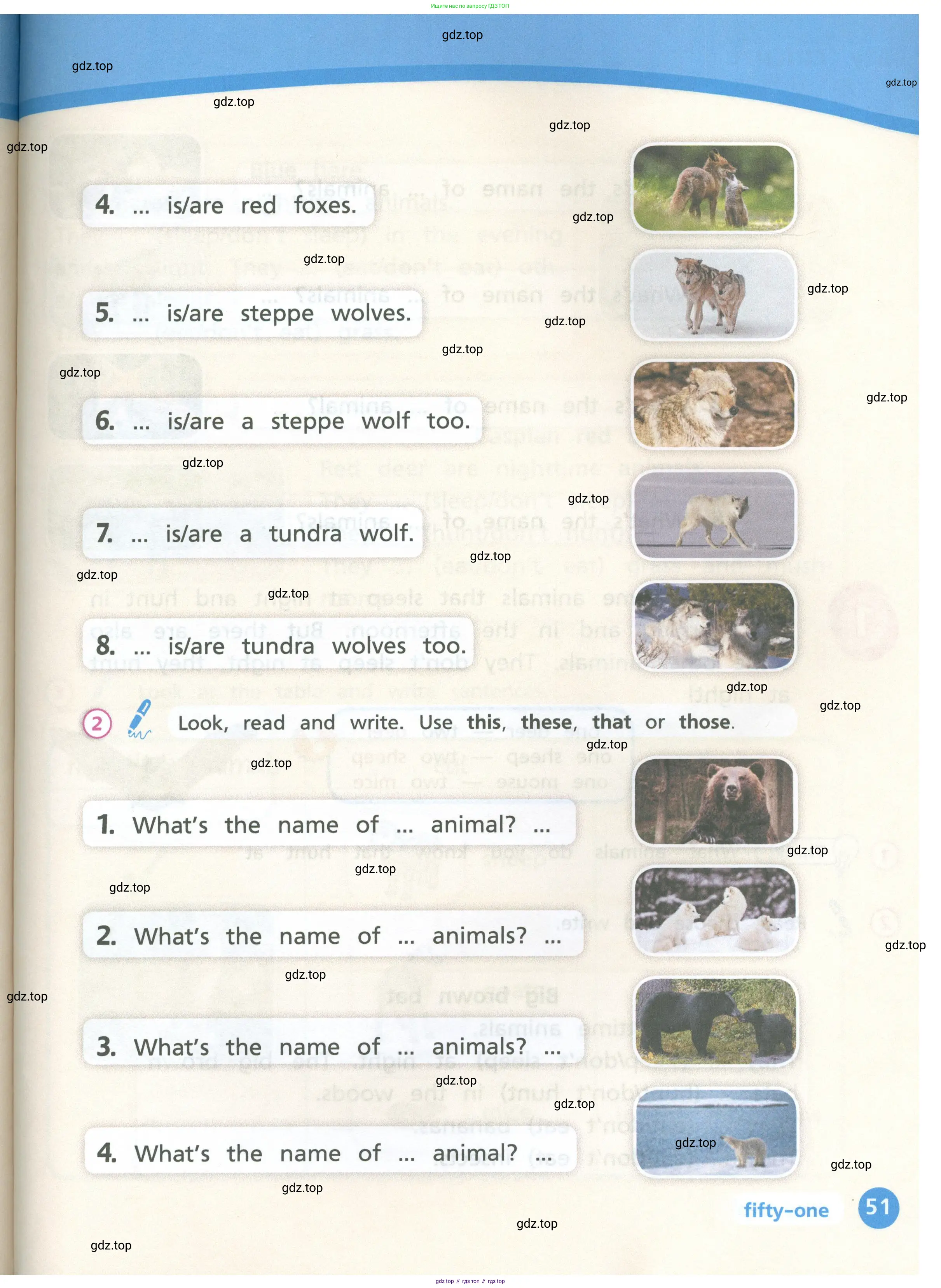 Английский язык (english), 3 класс Учебник (Student's book), авторы: Костюк Евгения Владимировна (Kostyuk Evgeniya), Колоницкая Лидия Борисовна (Kolonitskaya Lidiya), Кустаф Лесли (Koustaff Lesley), издательство Просвещение, Москва, 2023, белого цвета, Часть ( Part) 1, страница 51