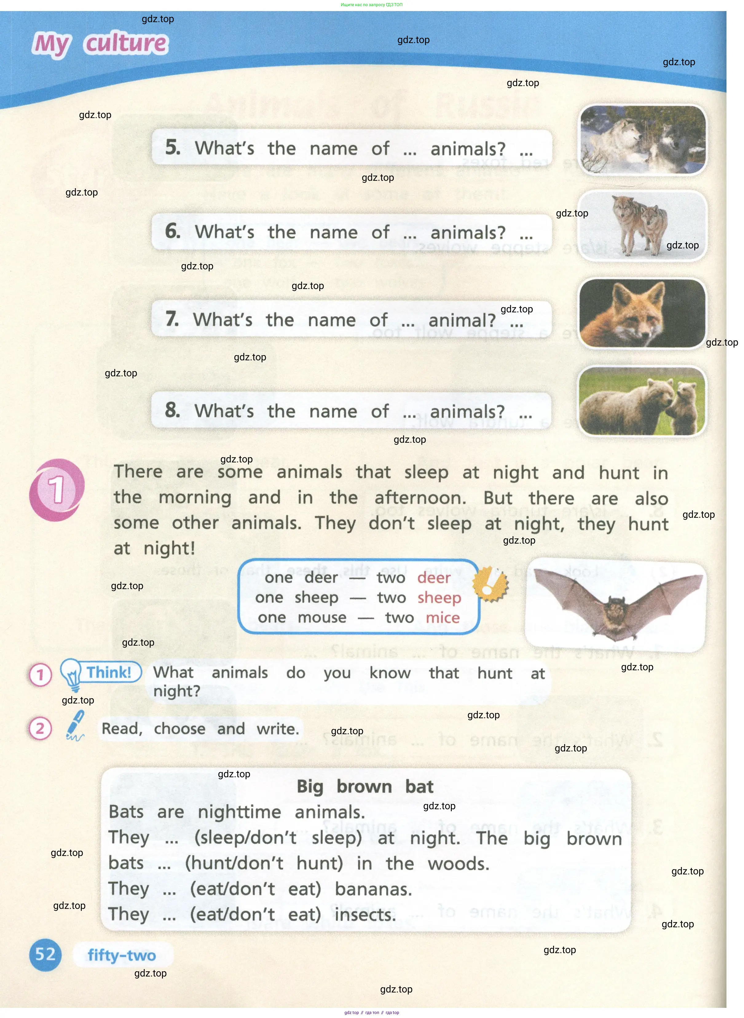 Английский язык (english), 3 класс Учебник (Student's book), авторы: Костюк Евгения Владимировна (Kostyuk Evgeniya), Колоницкая Лидия Борисовна (Kolonitskaya Lidiya), Кустаф Лесли (Koustaff Lesley), издательство Просвещение, Москва, 2023, белого цвета, Часть ( Part) 1, страница 52