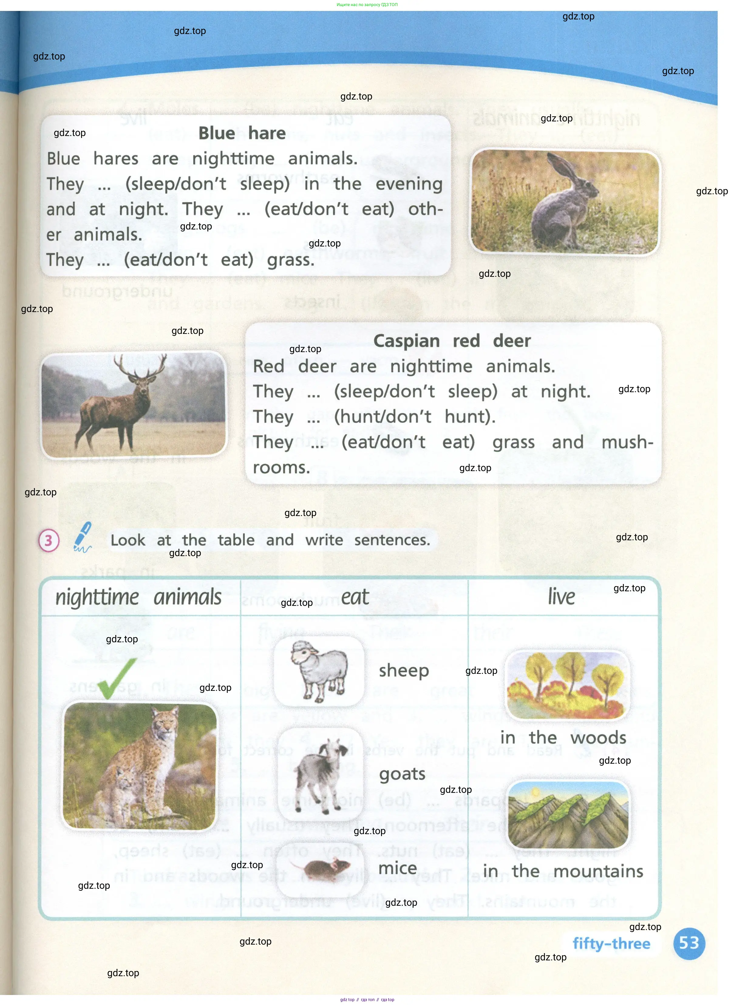 Английский язык (english), 3 класс Учебник (Student's book), авторы: Костюк Евгения Владимировна (Kostyuk Evgeniya), Колоницкая Лидия Борисовна (Kolonitskaya Lidiya), Кустаф Лесли (Koustaff Lesley), издательство Просвещение, Москва, 2023, белого цвета, Часть ( Part) 1, страница 53