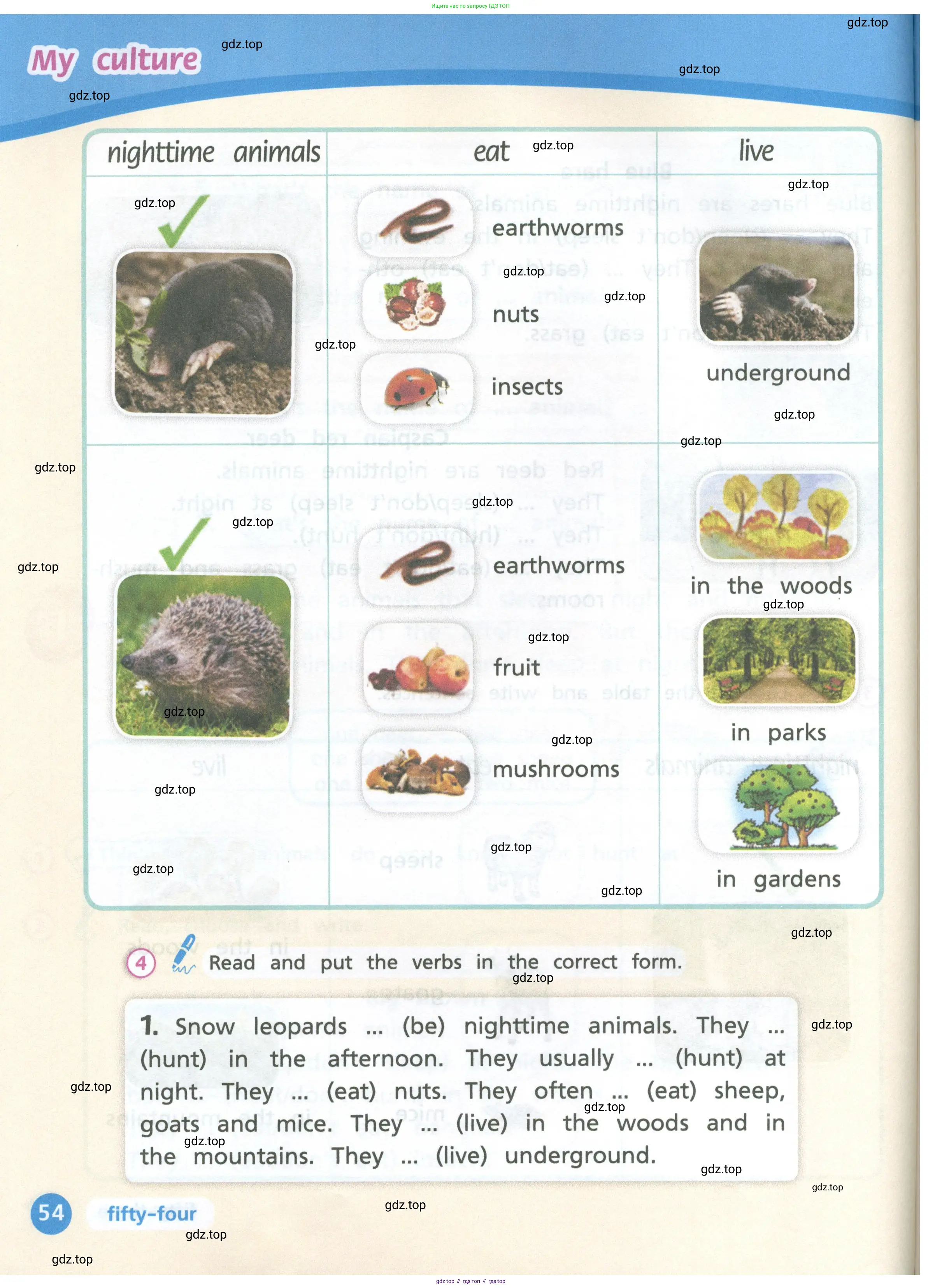 Английский язык (english), 3 класс Учебник (Student's book), авторы: Костюк Евгения Владимировна (Kostyuk Evgeniya), Колоницкая Лидия Борисовна (Kolonitskaya Lidiya), Кустаф Лесли (Koustaff Lesley), издательство Просвещение, Москва, 2023, белого цвета, Часть ( Part) 1, страница 54