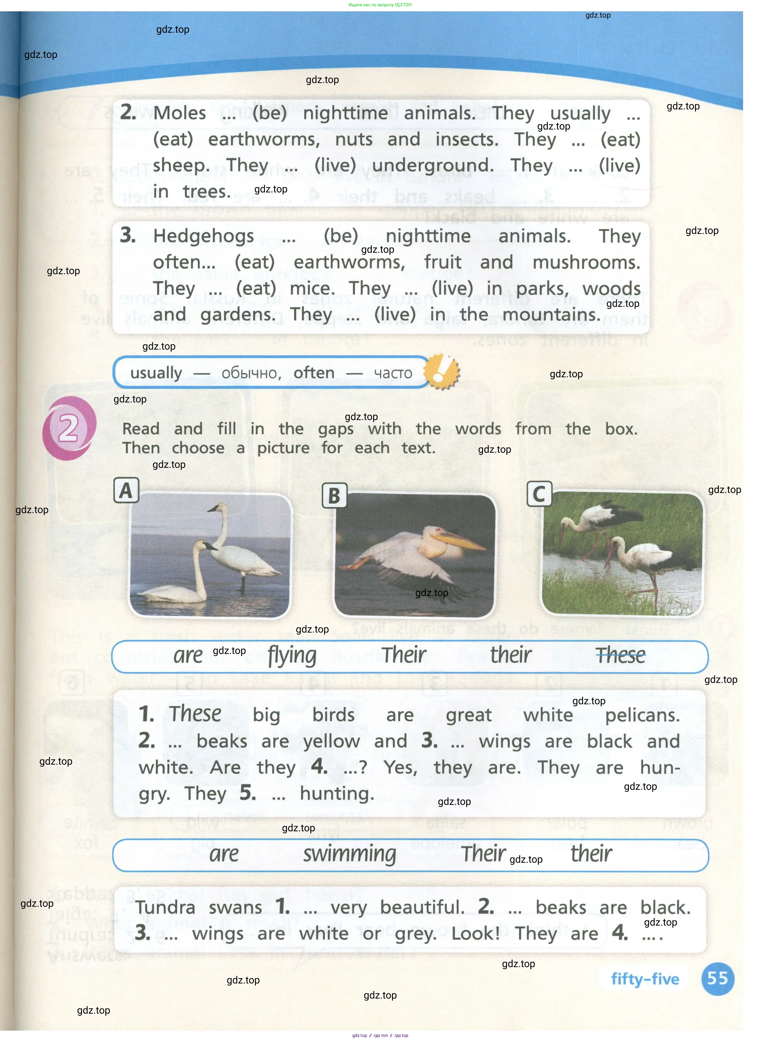 Английский язык (english), 3 класс Учебник (Student's book), авторы: Костюк Евгения Владимировна (Kostyuk Evgeniya), Колоницкая Лидия Борисовна (Kolonitskaya Lidiya), Кустаф Лесли (Koustaff Lesley), издательство Просвещение, Москва, 2023, белого цвета, Часть ( Part) 1, страница 55