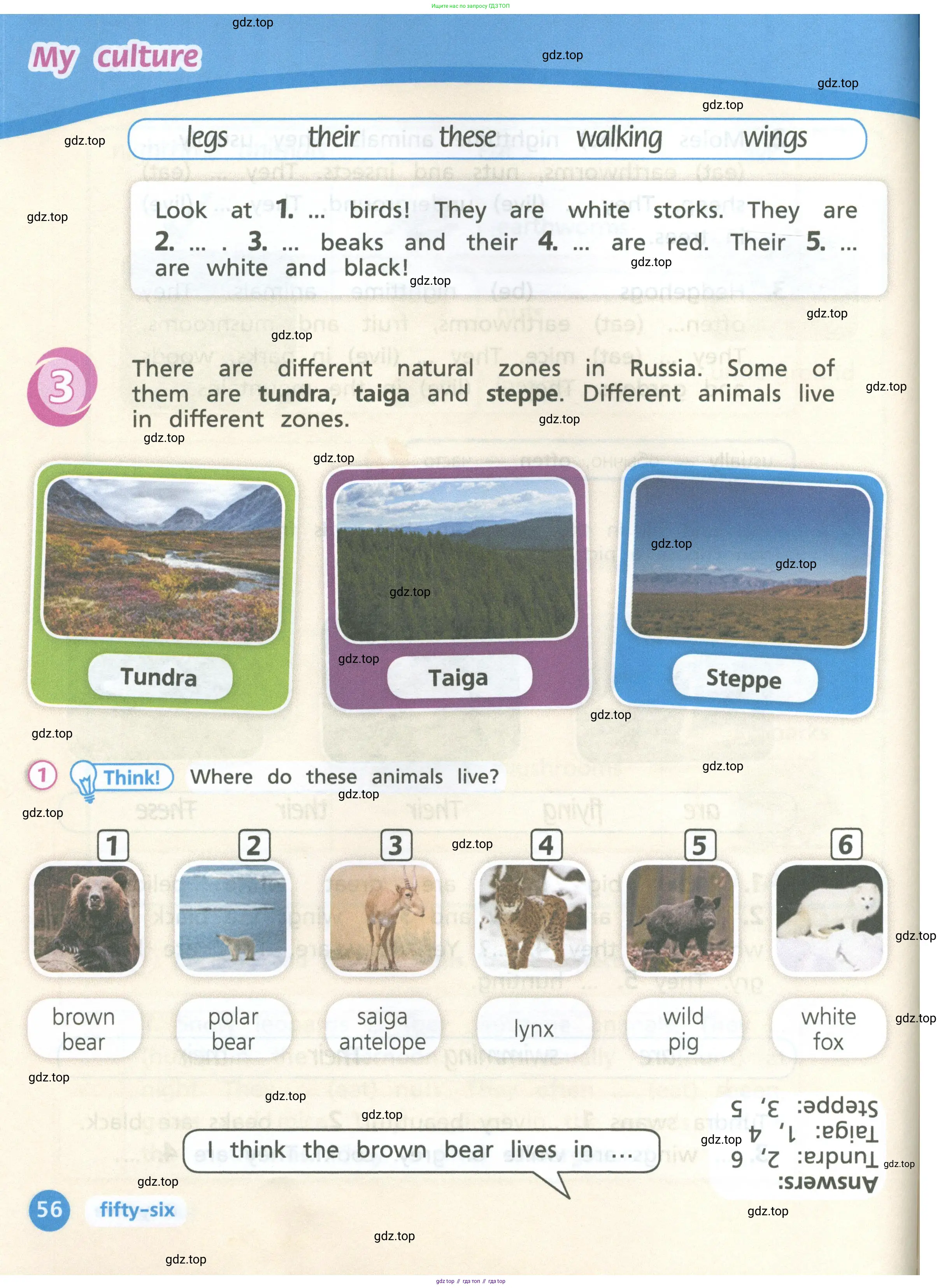 Английский язык (english), 3 класс Учебник (Student's book), авторы: Костюк Евгения Владимировна (Kostyuk Evgeniya), Колоницкая Лидия Борисовна (Kolonitskaya Lidiya), Кустаф Лесли (Koustaff Lesley), издательство Просвещение, Москва, 2023, белого цвета, Часть ( Part) 1, страница 56