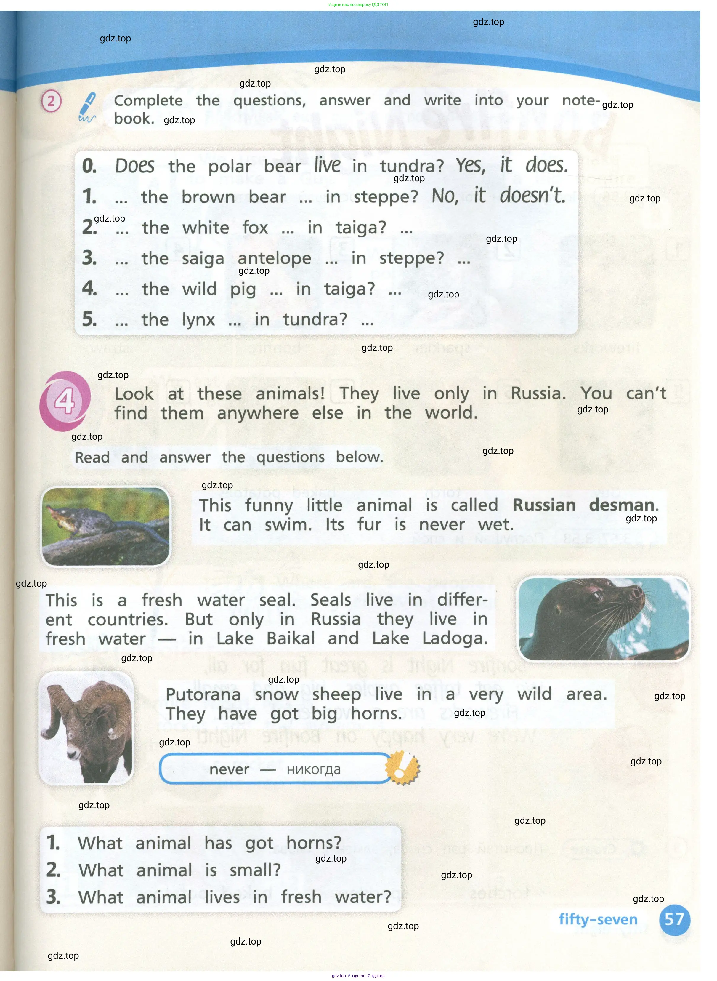 Английский язык (english), 3 класс Учебник (Student's book), авторы: Костюк Евгения Владимировна (Kostyuk Evgeniya), Колоницкая Лидия Борисовна (Kolonitskaya Lidiya), Кустаф Лесли (Koustaff Lesley), издательство Просвещение, Москва, 2023, белого цвета, Часть ( Part) 1, страница 57