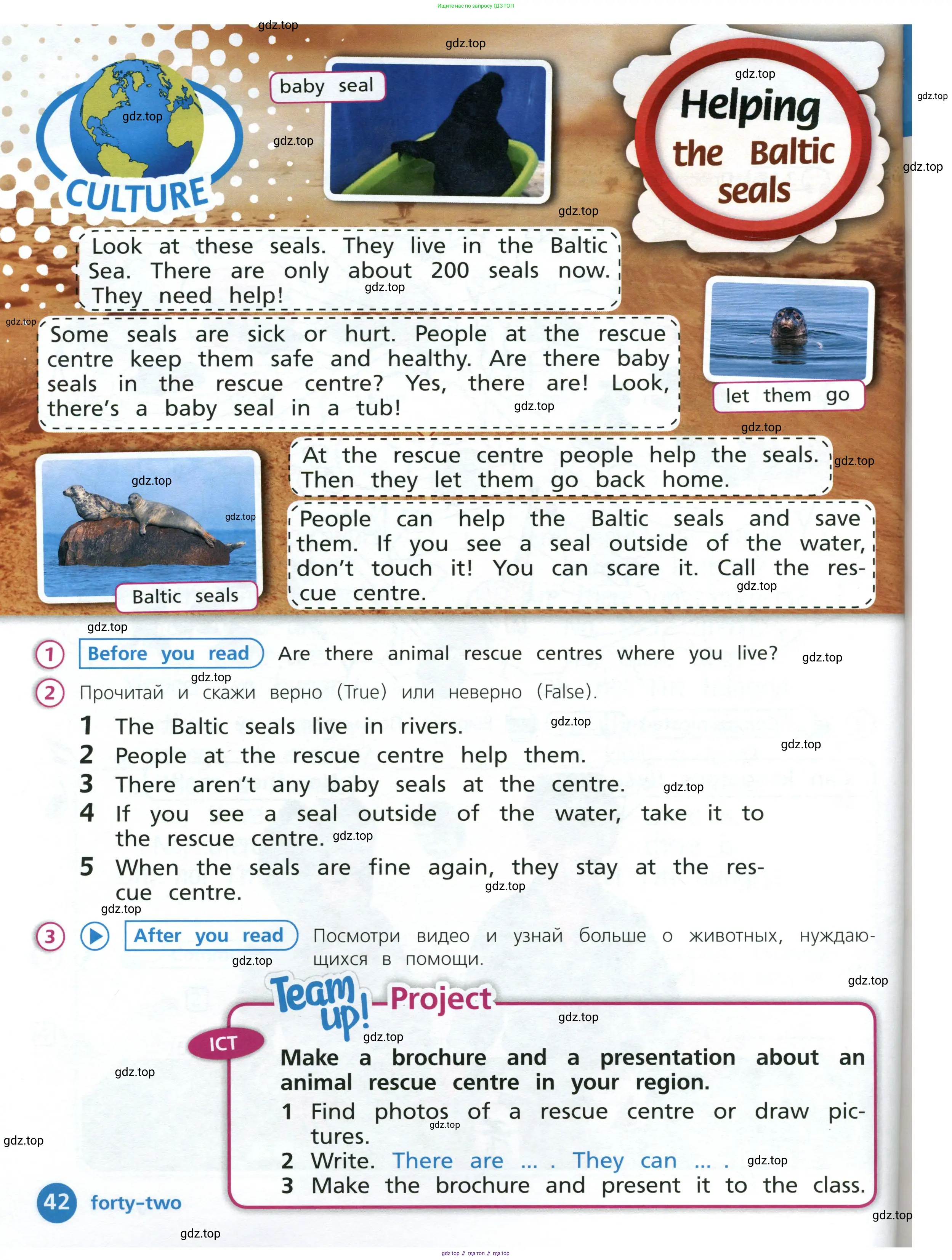 Английский язык (english), 3 класс Учебник (Student's book), авторы: Костюк Евгения Владимировна (Kostyuk Evgeniya), Колоницкая Лидия Борисовна (Kolonitskaya Lidiya), Кустаф Лесли (Koustaff Lesley), издательство Просвещение, Москва, 2023, белого цвета, Часть ( Part) 1, страница 42
