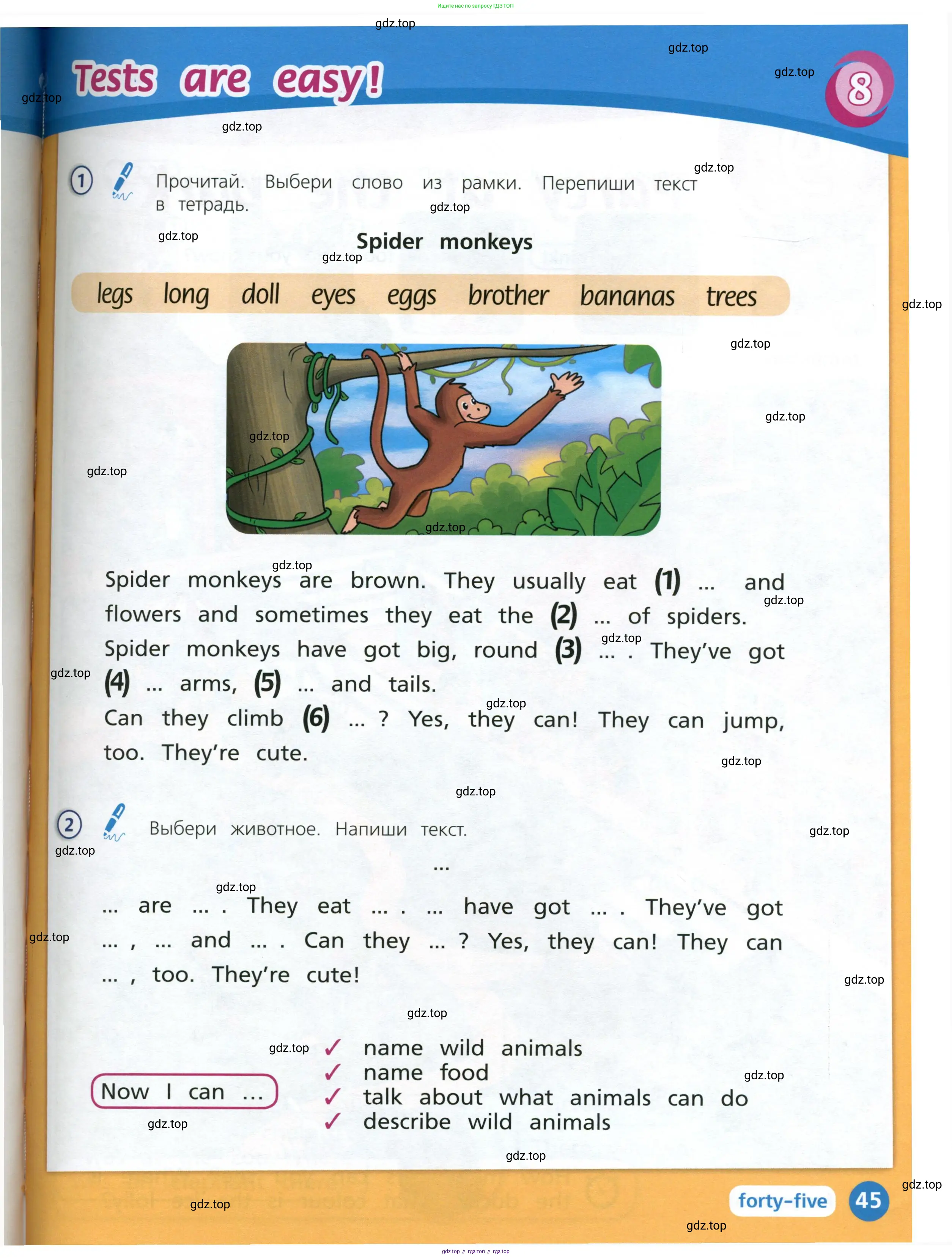 Английский язык (english), 3 класс Учебник (Student's book), авторы: Костюк Евгения Владимировна (Kostyuk Evgeniya), Колоницкая Лидия Борисовна (Kolonitskaya Lidiya), Кустаф Лесли (Koustaff Lesley), издательство Просвещение, Москва, 2023, белого цвета, Часть ( Part) 1, страница 45