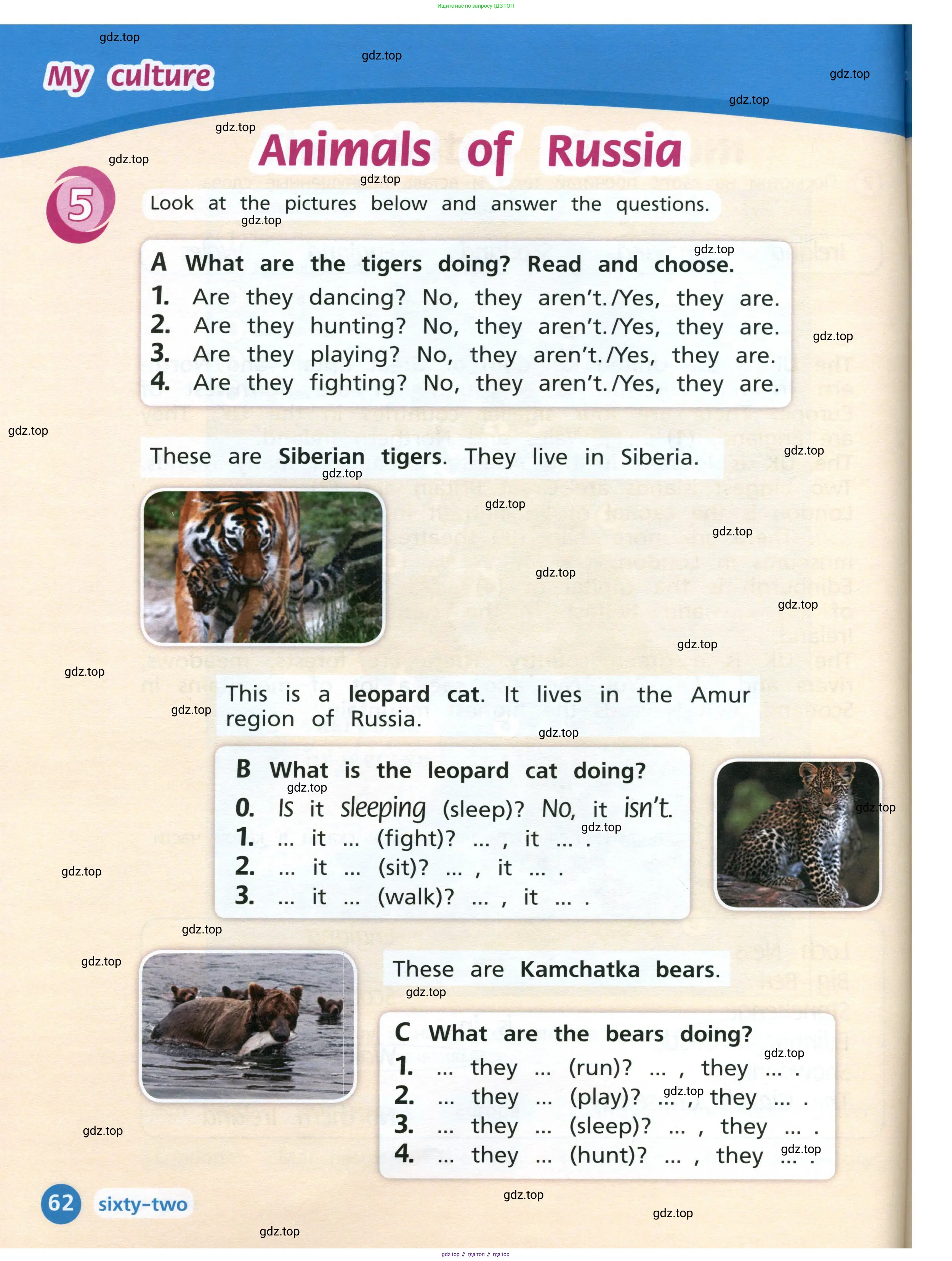 Английский язык (english), 3 класс Учебник (Student's book), авторы: Костюк Евгения Владимировна (Kostyuk Evgeniya), Колоницкая Лидия Борисовна (Kolonitskaya Lidiya), Кустаф Лесли (Koustaff Lesley), издательство Просвещение, Москва, 2023, белого цвета, Часть ( Part) 2, страница 62