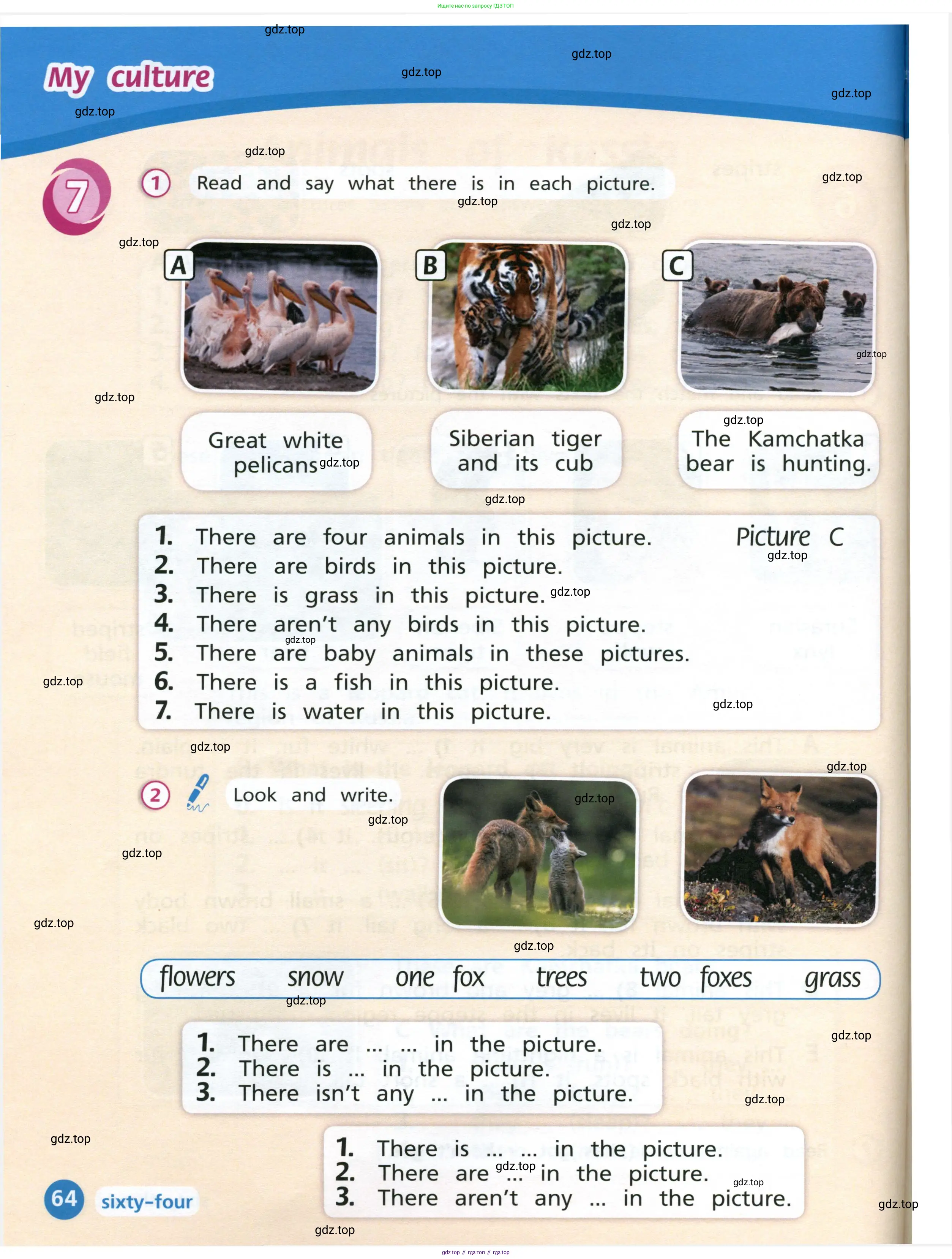 Английский язык (english), 3 класс Учебник (Student's book), авторы: Костюк Евгения Владимировна (Kostyuk Evgeniya), Колоницкая Лидия Борисовна (Kolonitskaya Lidiya), Кустаф Лесли (Koustaff Lesley), издательство Просвещение, Москва, 2023, белого цвета, Часть ( Part) 2, страница 64
